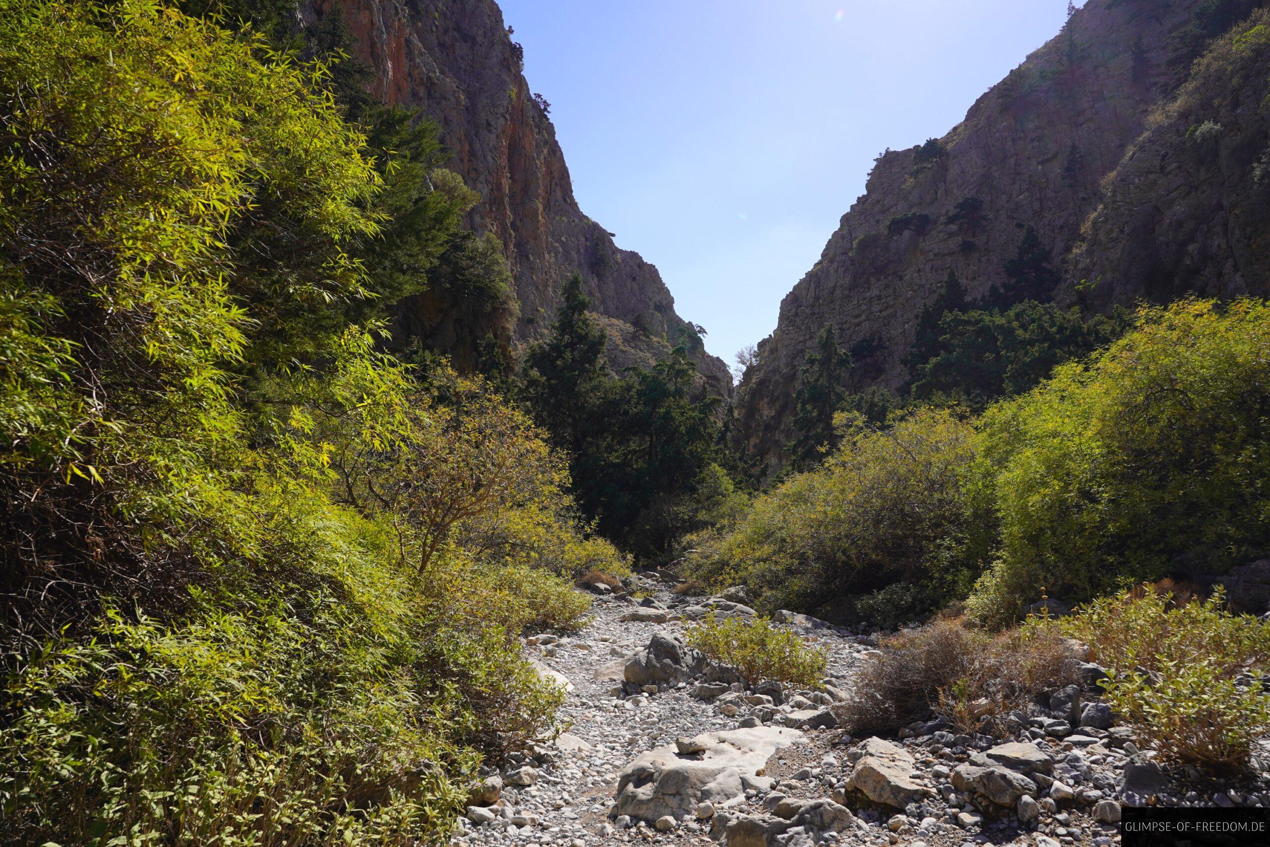Ueppige Vegetation innerhalb der Imbros Schlucht scaled Üppige Vegetation innerhalb der Imbros Schlucht