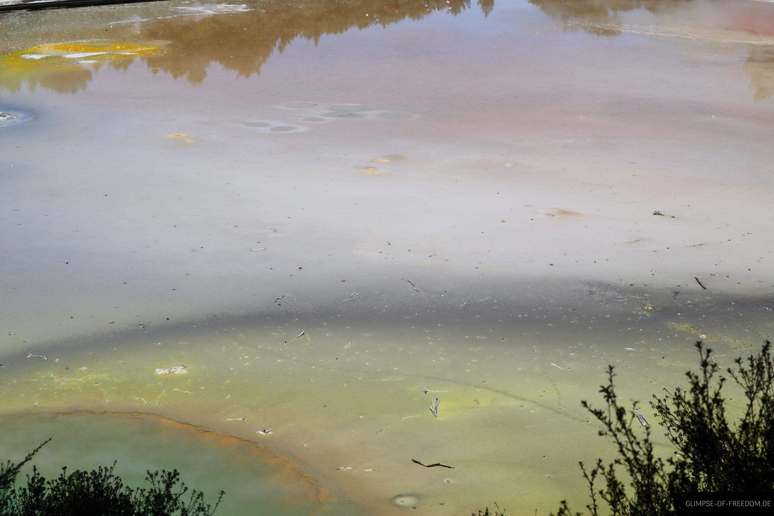 Unglaubliche Beschaffenheit der Natur im Wai O Tapu scaled Unglaubliche Beschaffenheit der Natur im Wai O Tapu