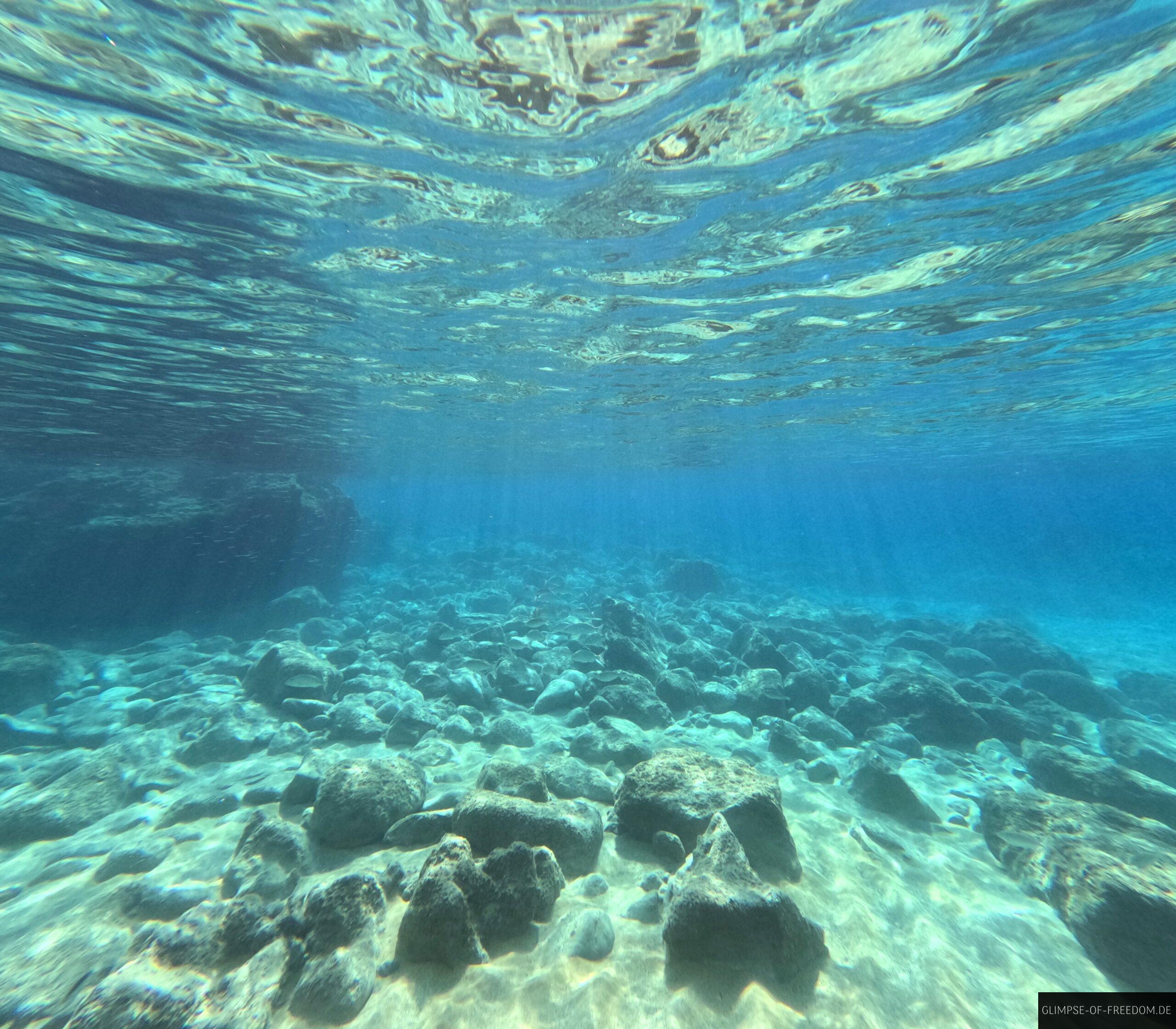Unterwasserwelt am Red Beach scaled Unterwasserwelt am Red Beach scaled