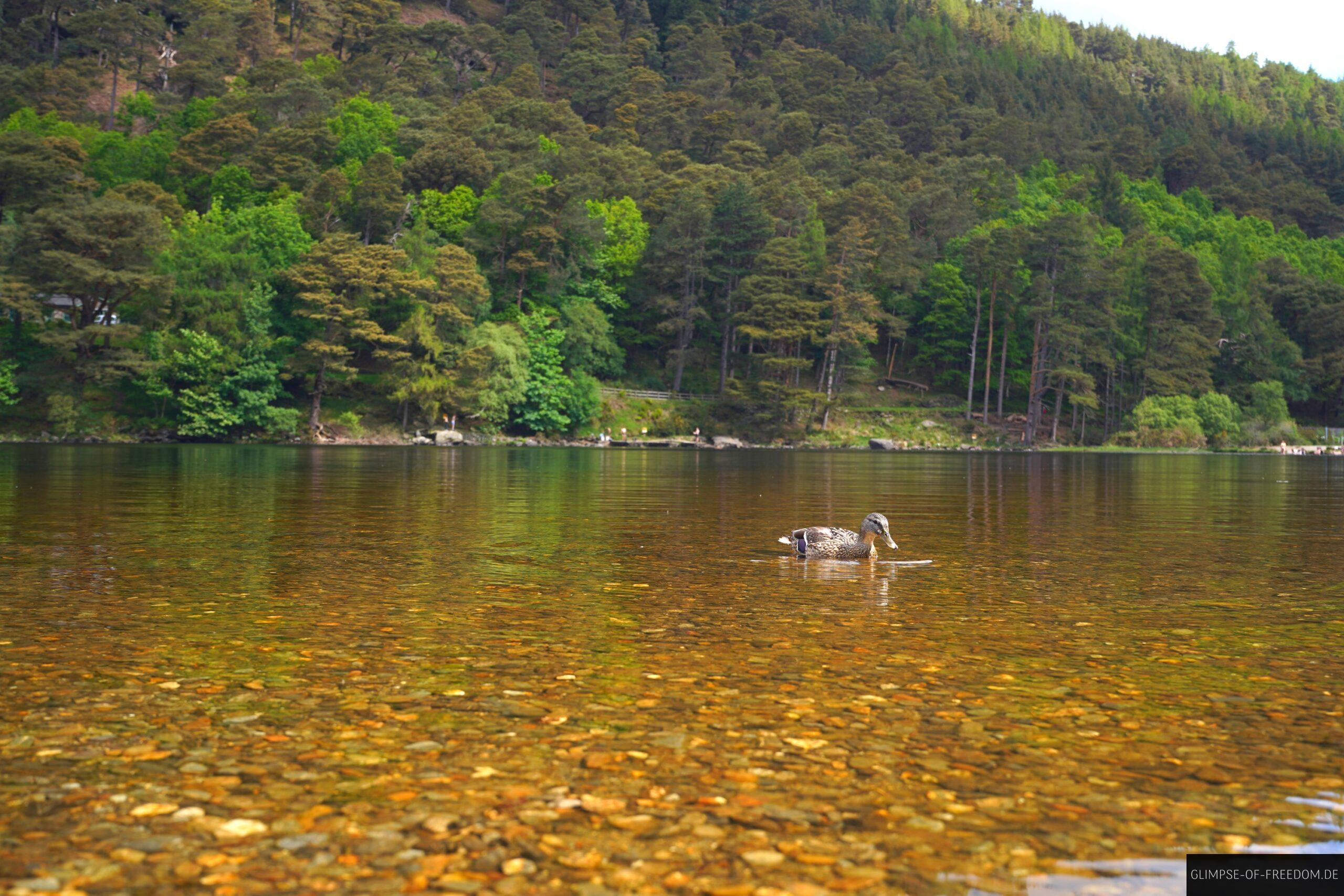Upper Lake Enten scaled Upper Lake Enten