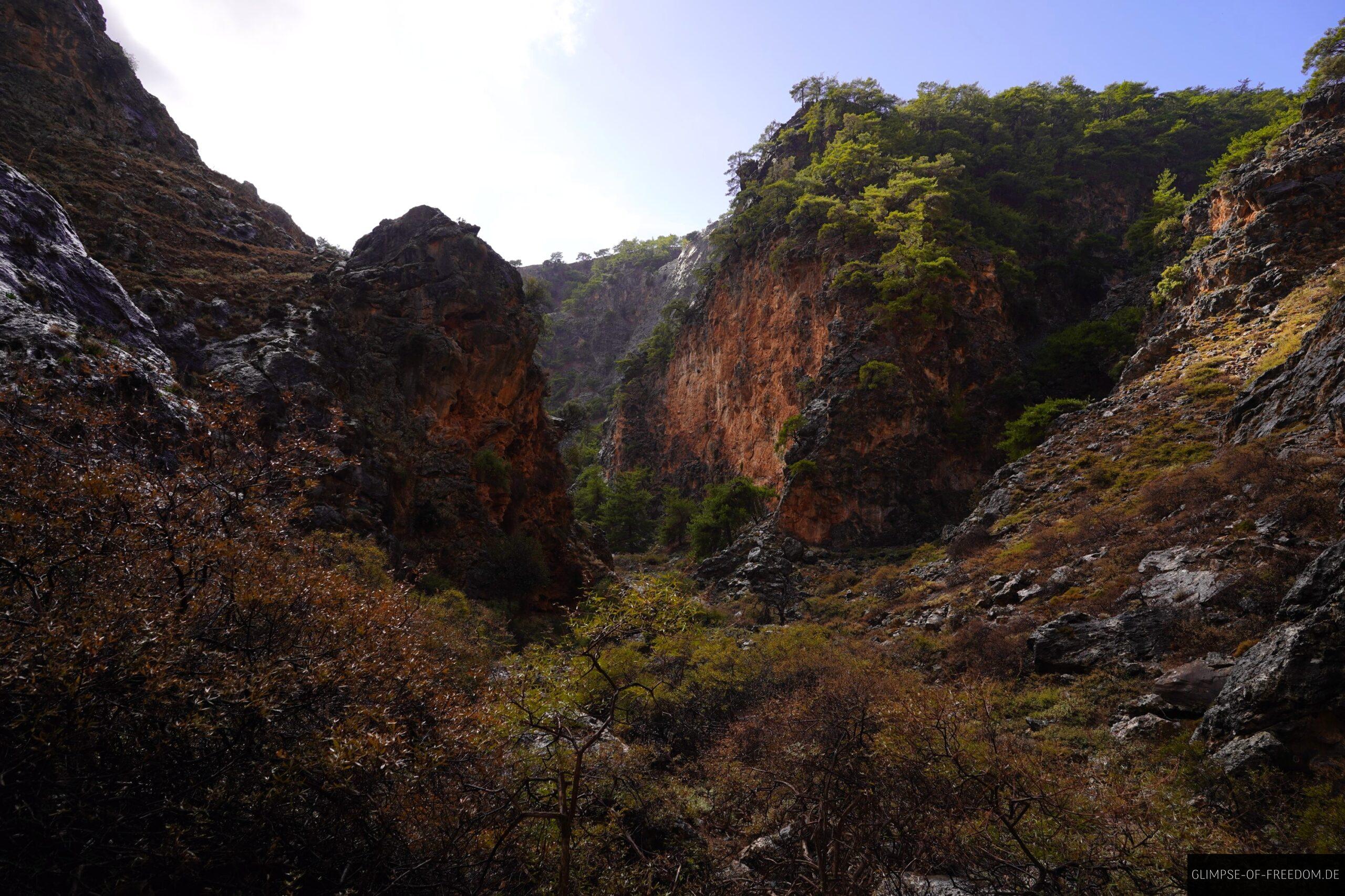Vegetation in der Aradena Schlucht scaled Vegetation in der Aradena Schlucht