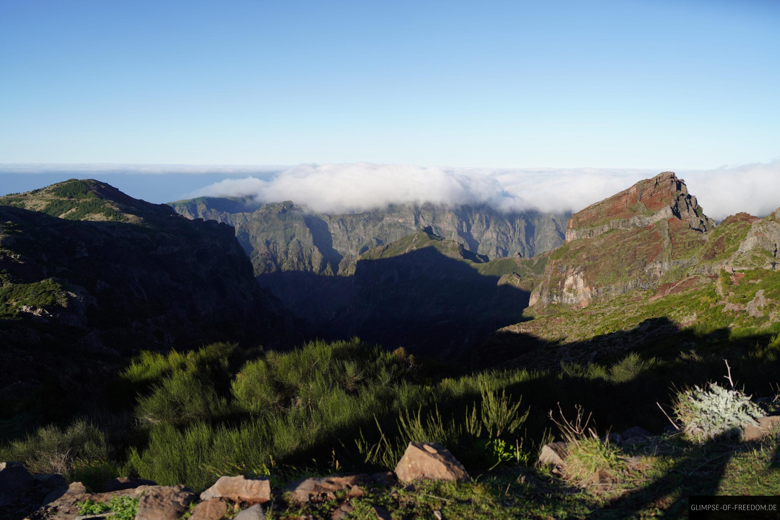 Veregation in den Bergen Madeiras scaled Veregation in den Bergen Madeiras