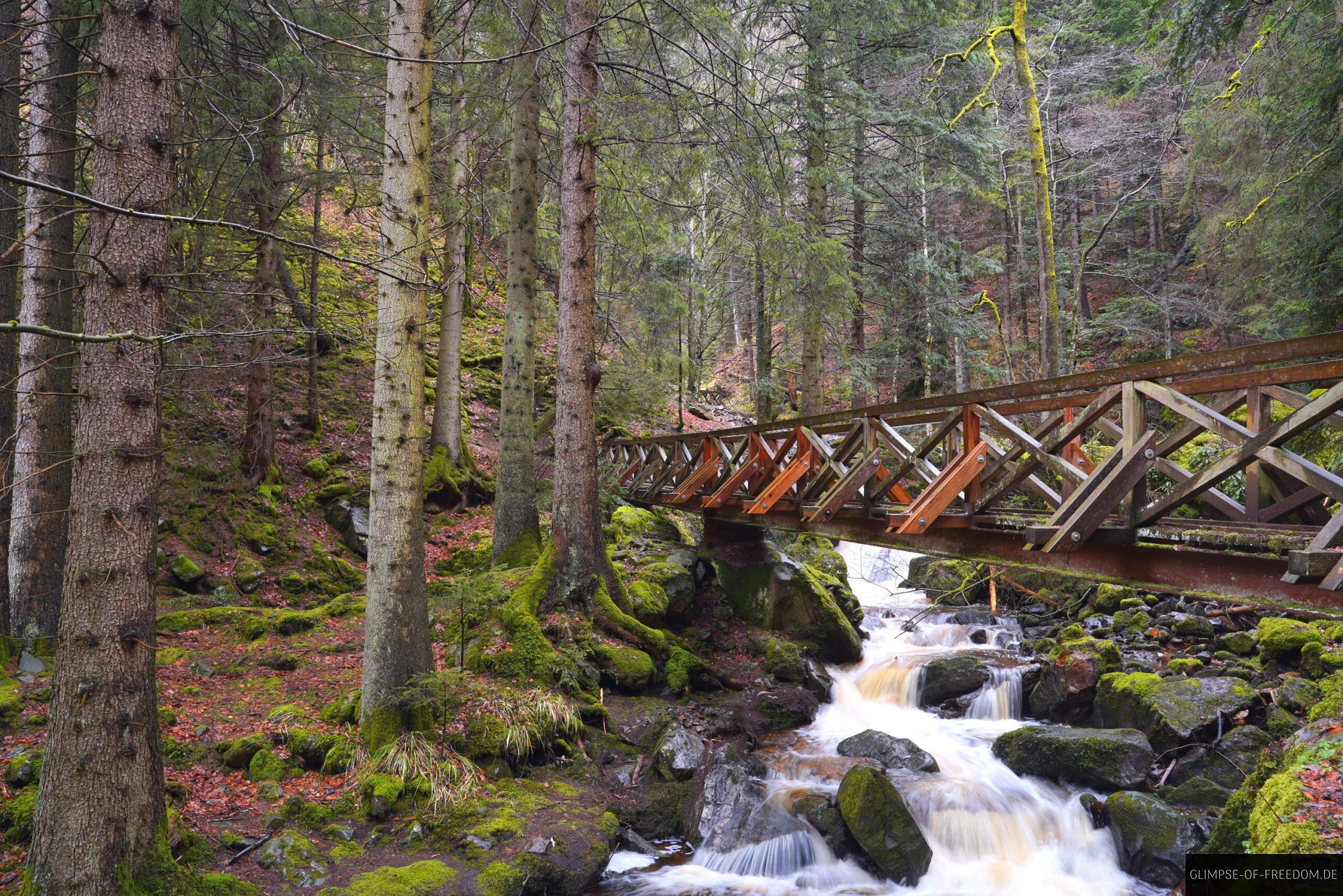 Viele Holzbruecken in der Ravennaschlucht scaled Viele Holzbrücken in der Ravennaschlucht