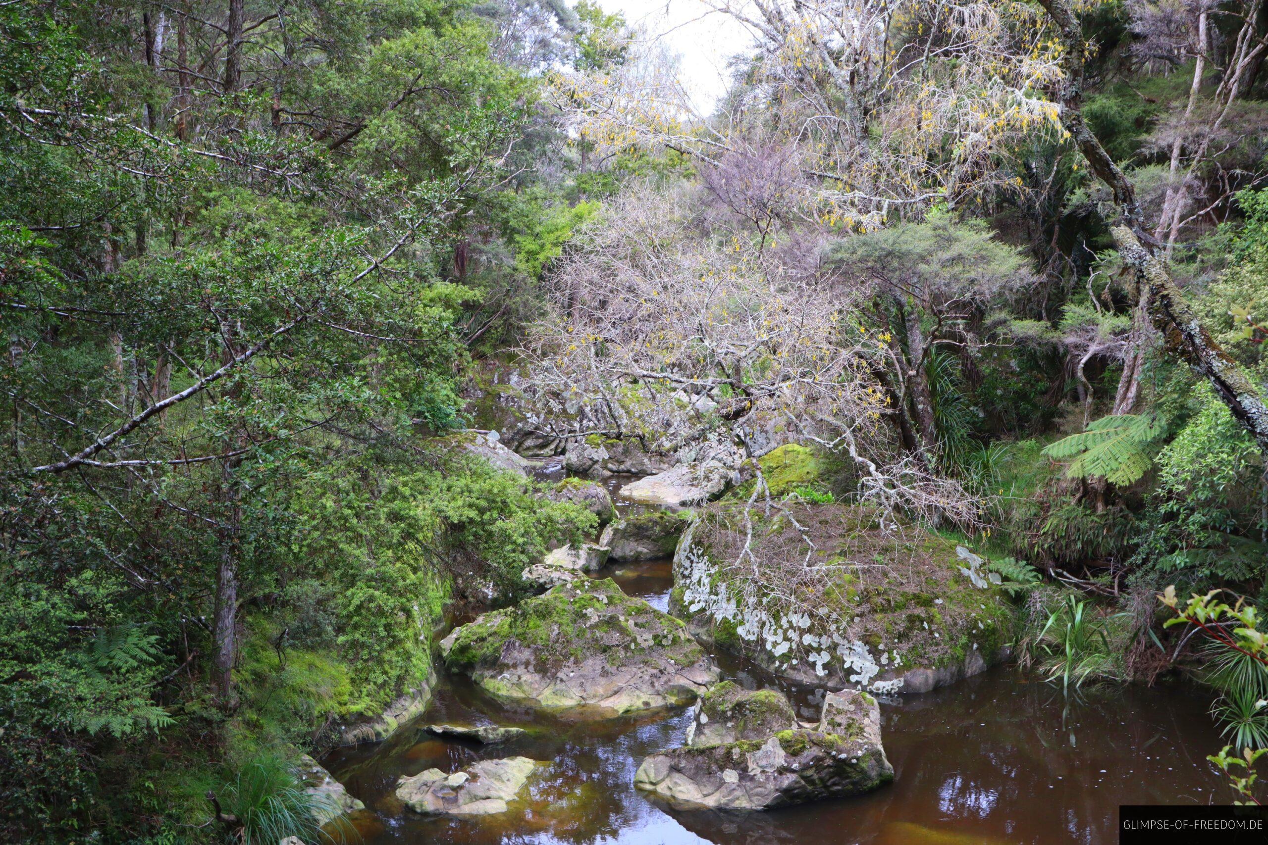 Vielfaeltige Vegetation mit Wasser und Wald scaled Vielfältige Vegetation mit Wasser und Wald