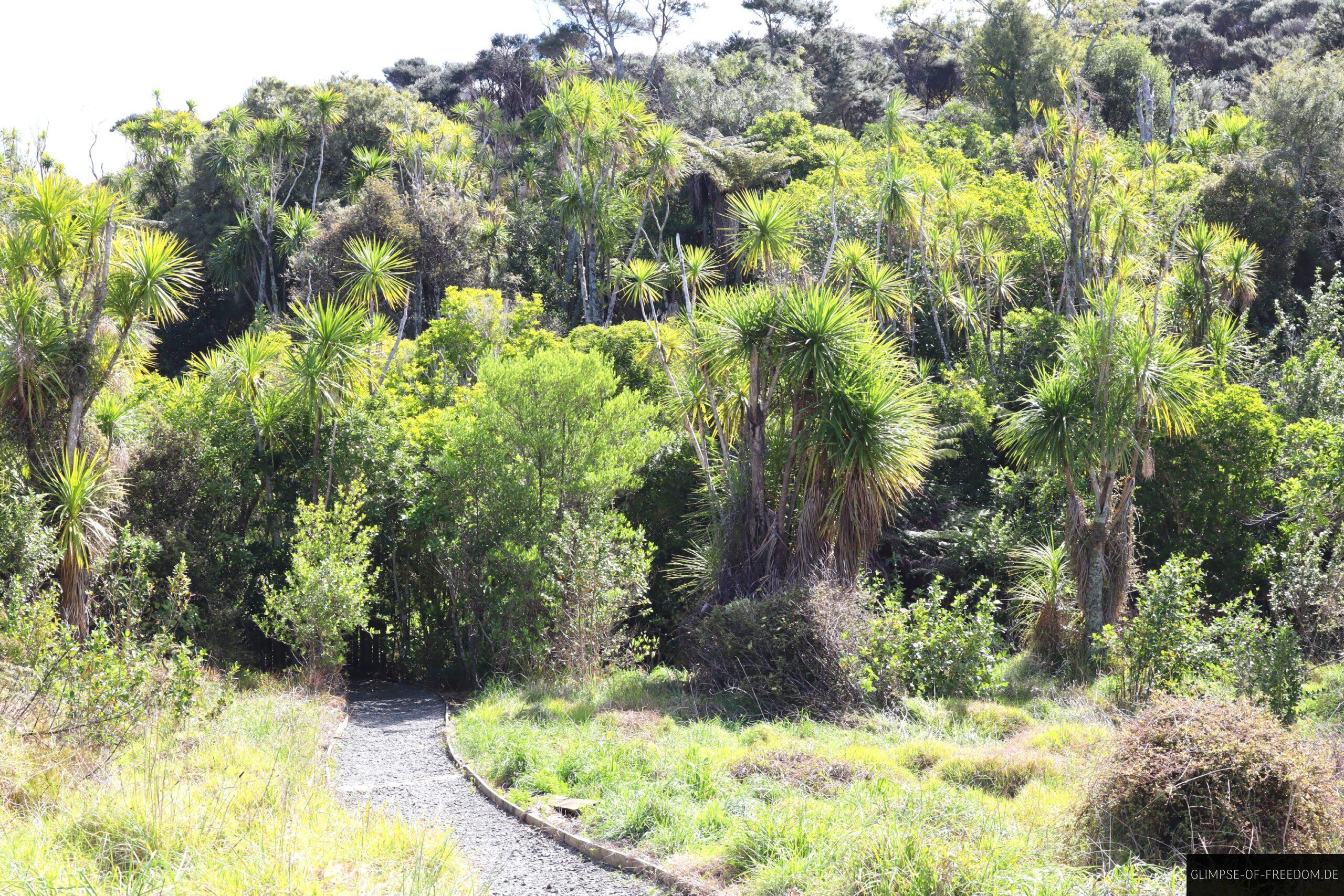 Vielfaeltige Vegetation scaled Vielfältige Vegetation