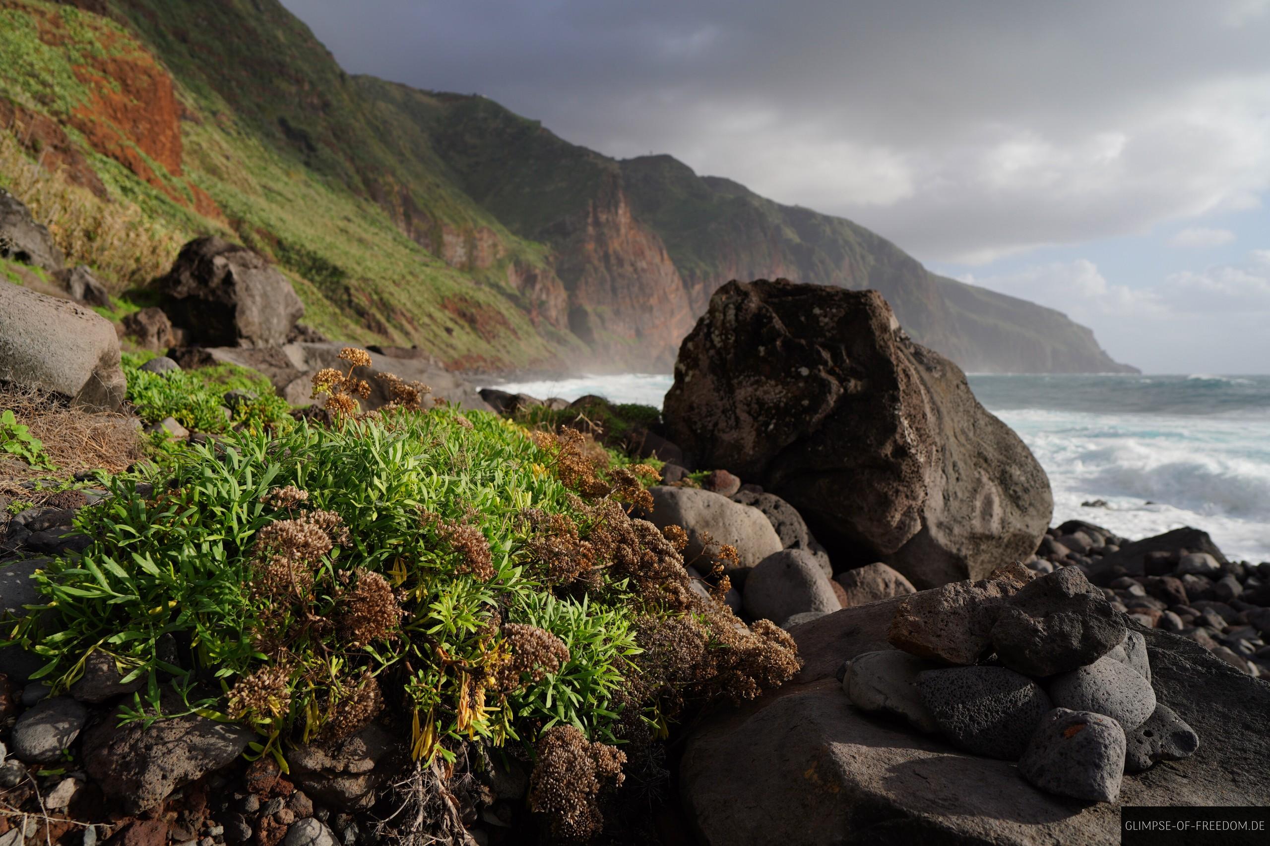 Vielseitige Landschaft bei der Madeira Küstenwanderung