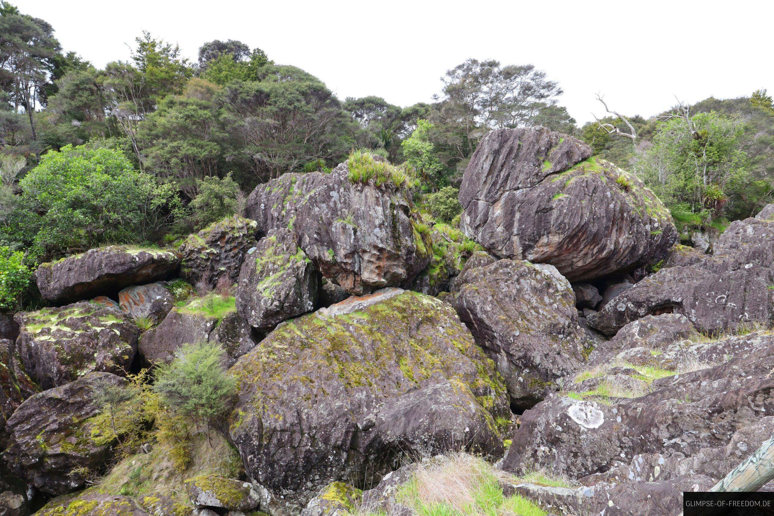 Wairere Boulders Neuseeland 1 scaled Wairere Boulders Neuseeland