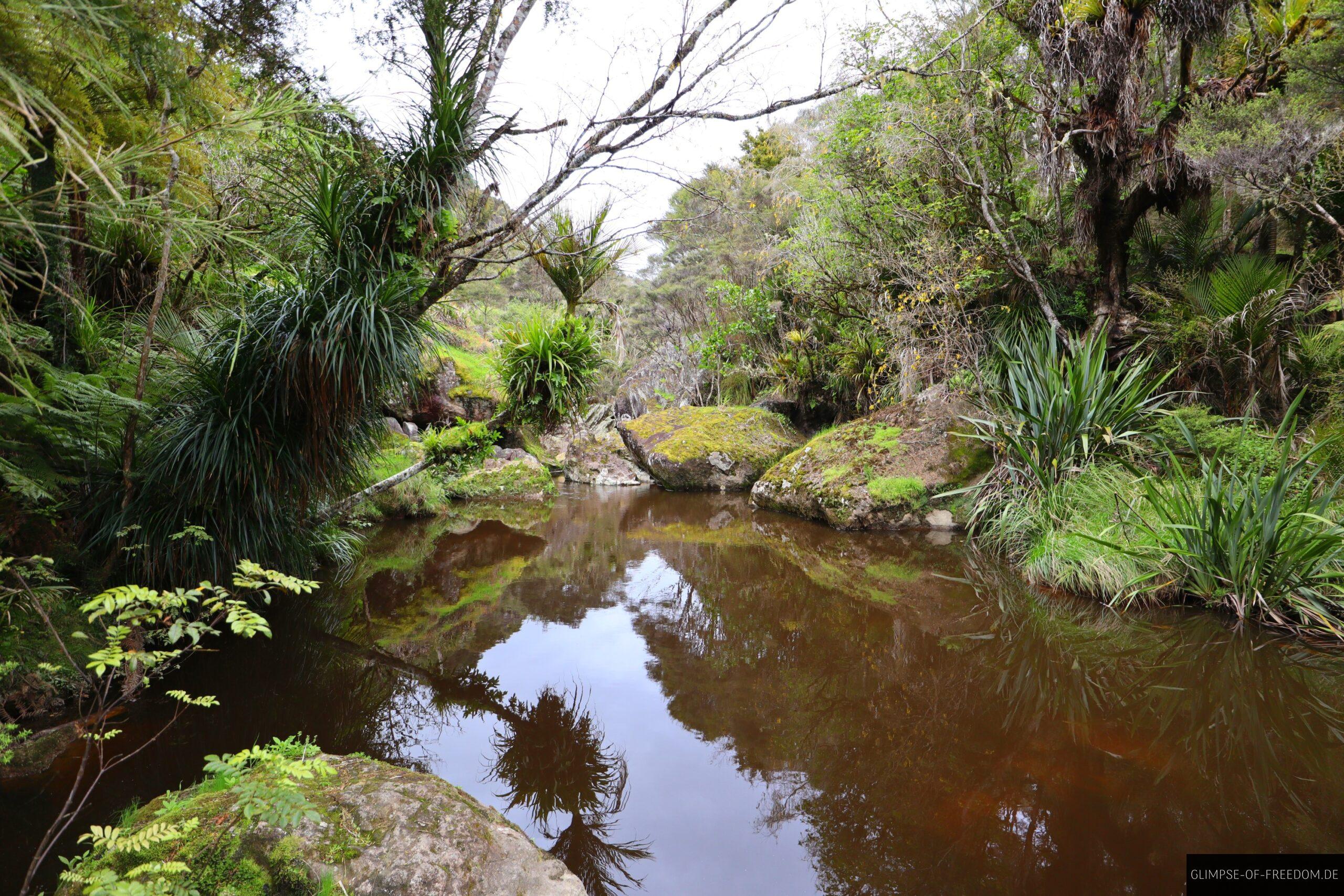 Wairere Boulders See scaled Wairere Boulders See