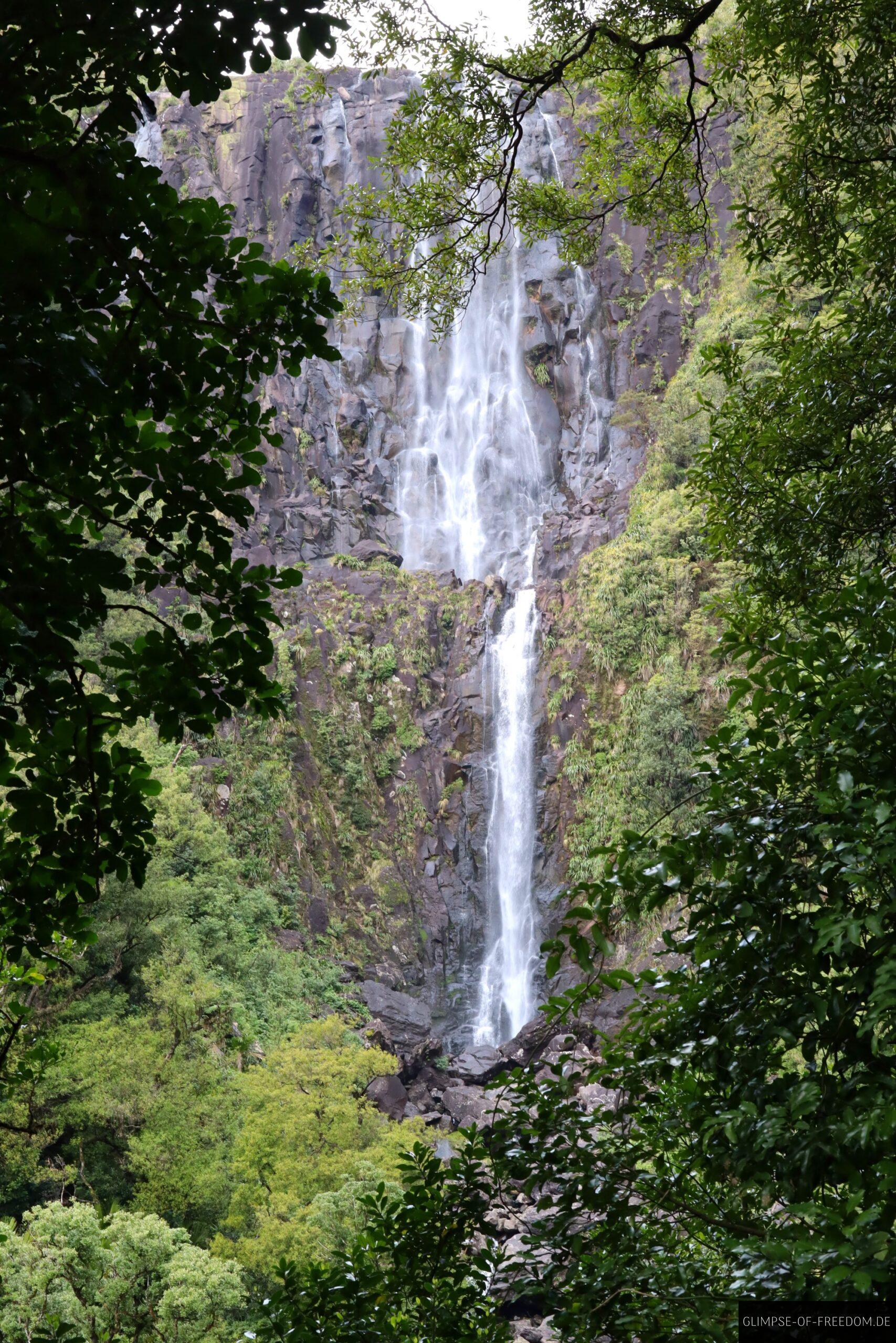Wairere Falls Hoechster Wasserfall der Nordinsel Neuseelands scaled Wairere Falls Höchster Wasserfall der Nordinsel Neuseelands