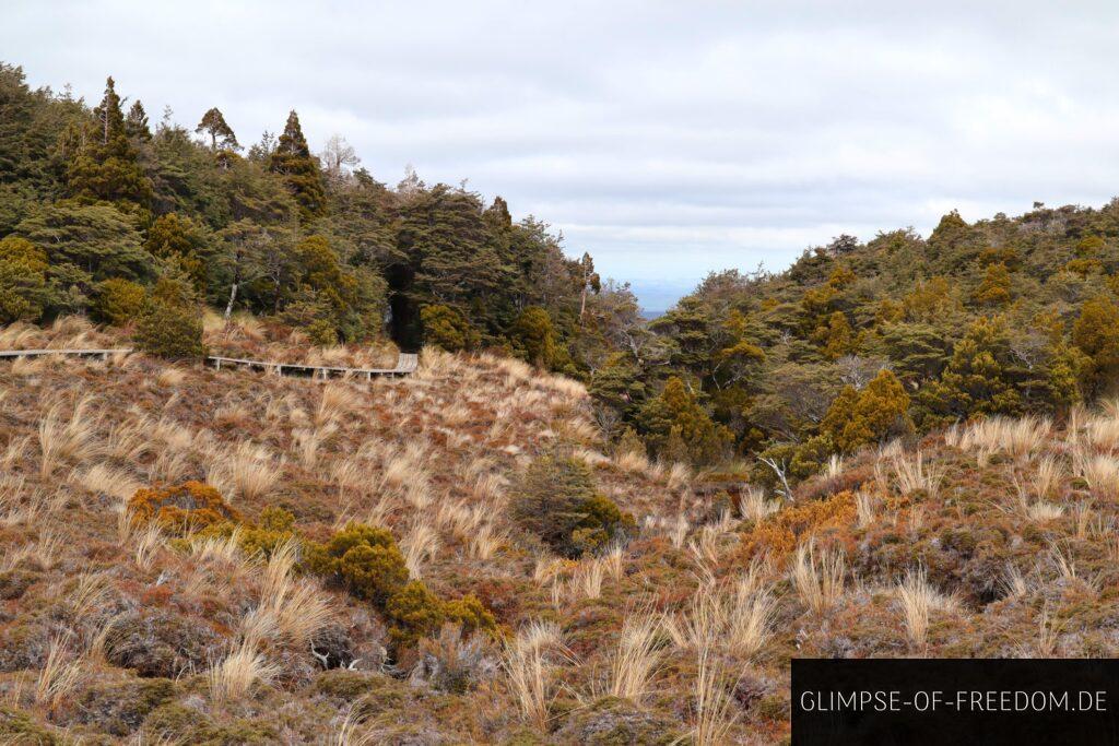 Waitonga Falls Track Tongariro