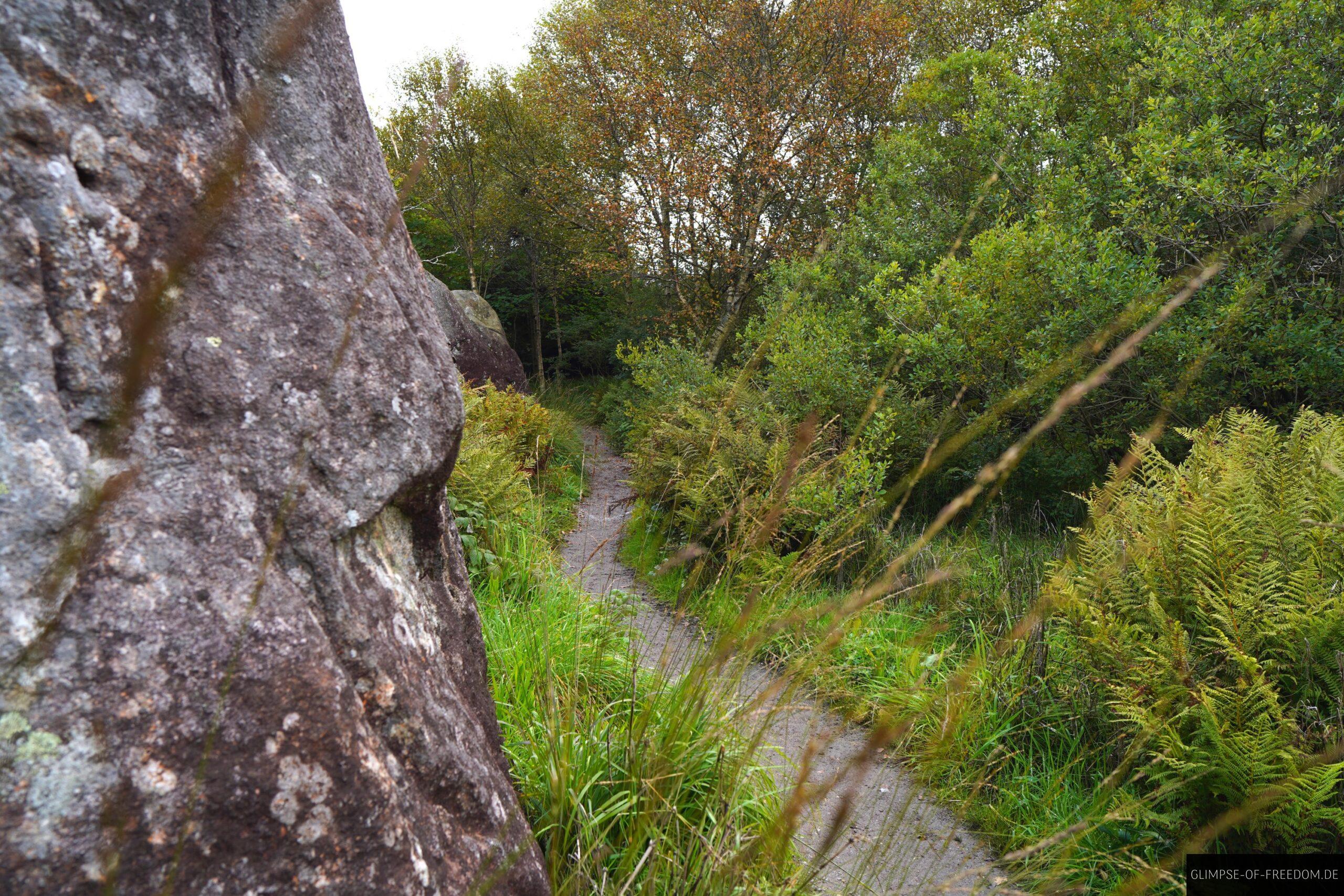 Waldweg an der Kuestenfestung Sirevag scaled Waldweg an der Küstenfestung Sirevåg