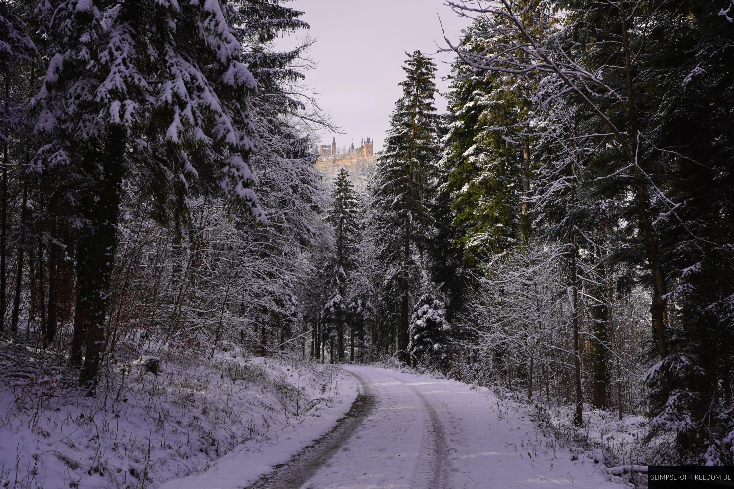 Waldweg im Schnee auf der Schwaebischen Alb scaled Waldweg im Schnee auf der Schwäbischen Alb