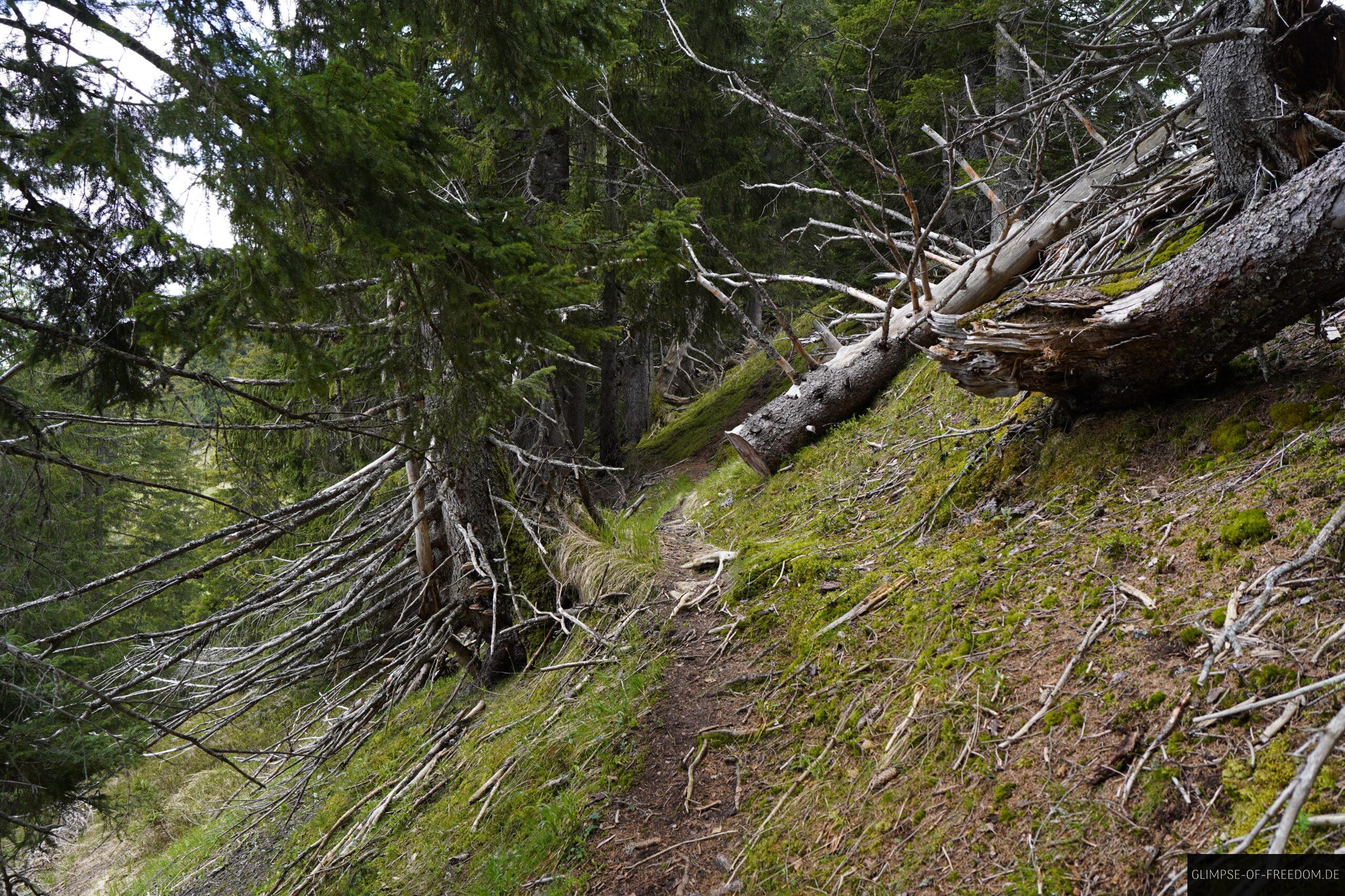 Wandern Richtung Kegelkopf scaled Wandern Richtung Kegelkopf