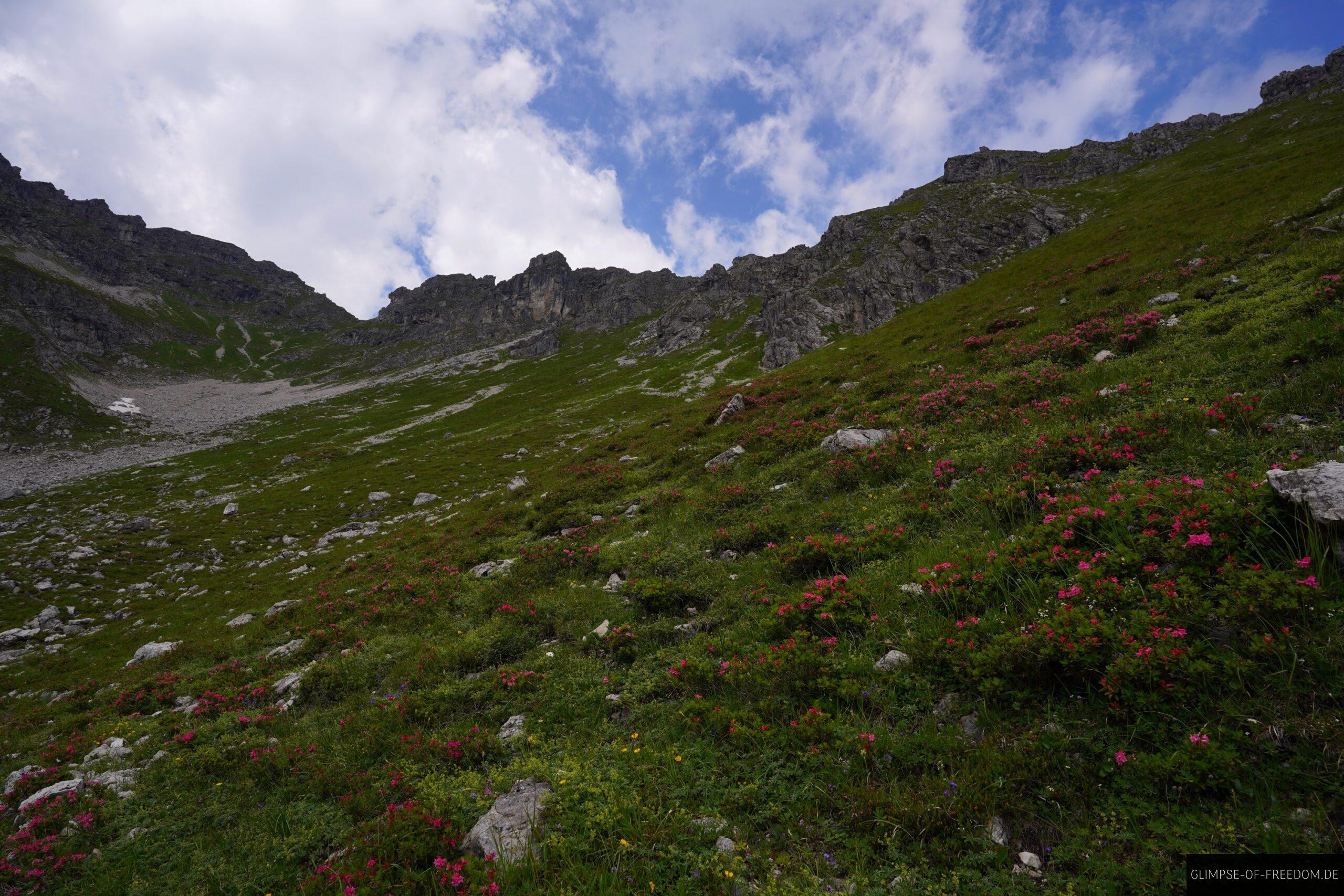 Wandern am Hang des Griesgundkopfs scaled Wandern am Hang des Griesgundkopfs