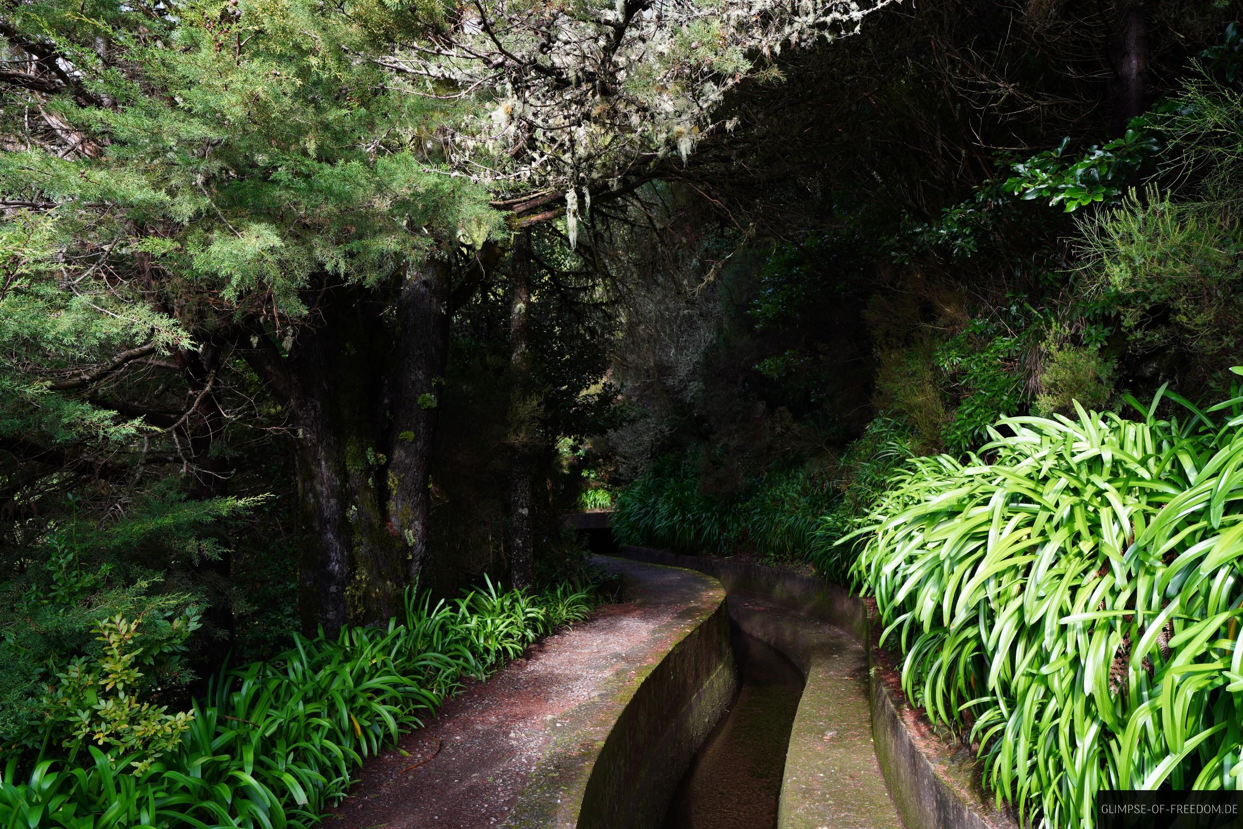 Wandern an der Levada do Norte Wandern an der Levada do Norte