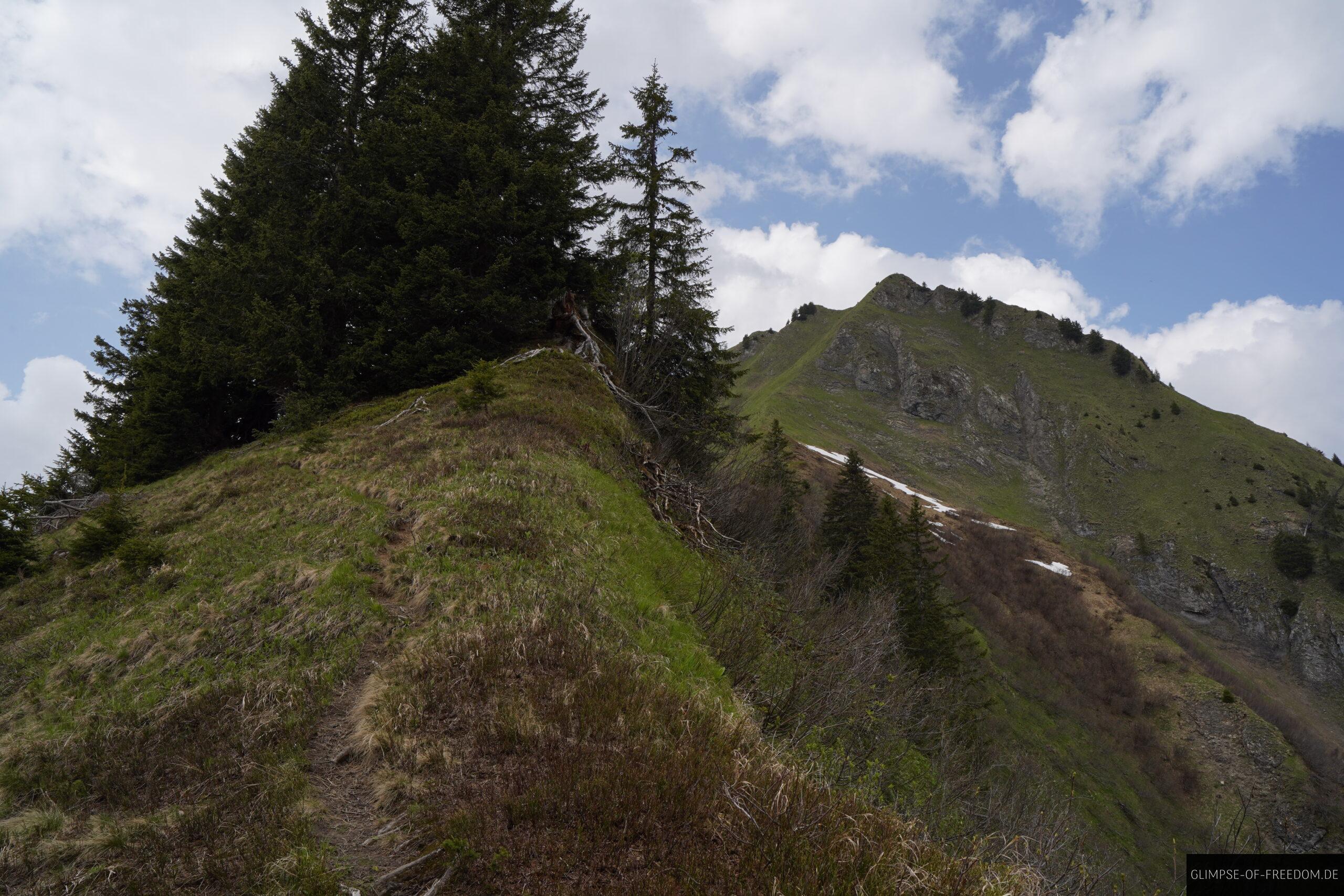 Wandern auf den Kegelkopf scaled Wandern auf den Kegelkopf