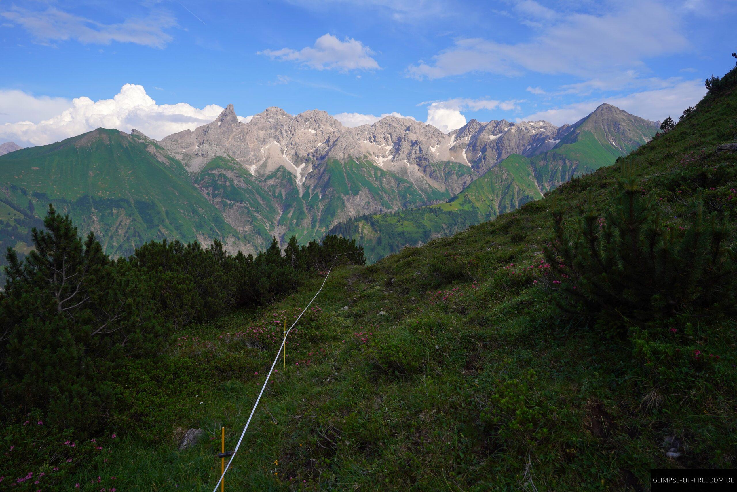 Wandern entlang der Kuhweide zwischen Griesgundkopf und Guggersee scaled Wandern entlang der Kuhweide zwischen Griesgundkopf und Guggersee