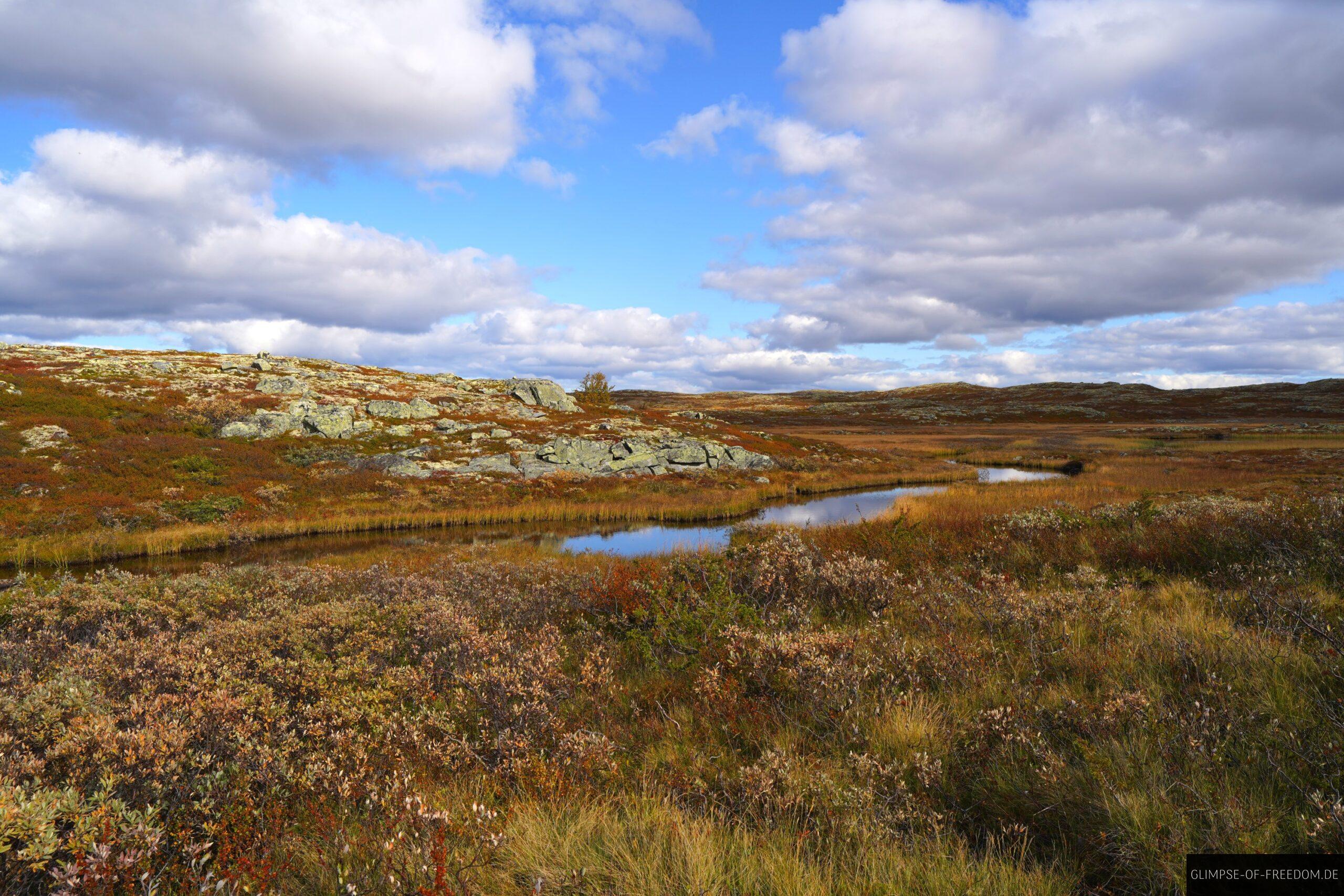 Wandern entlang des Bachlaufs scaled Wandern entlang des Bachlaufs