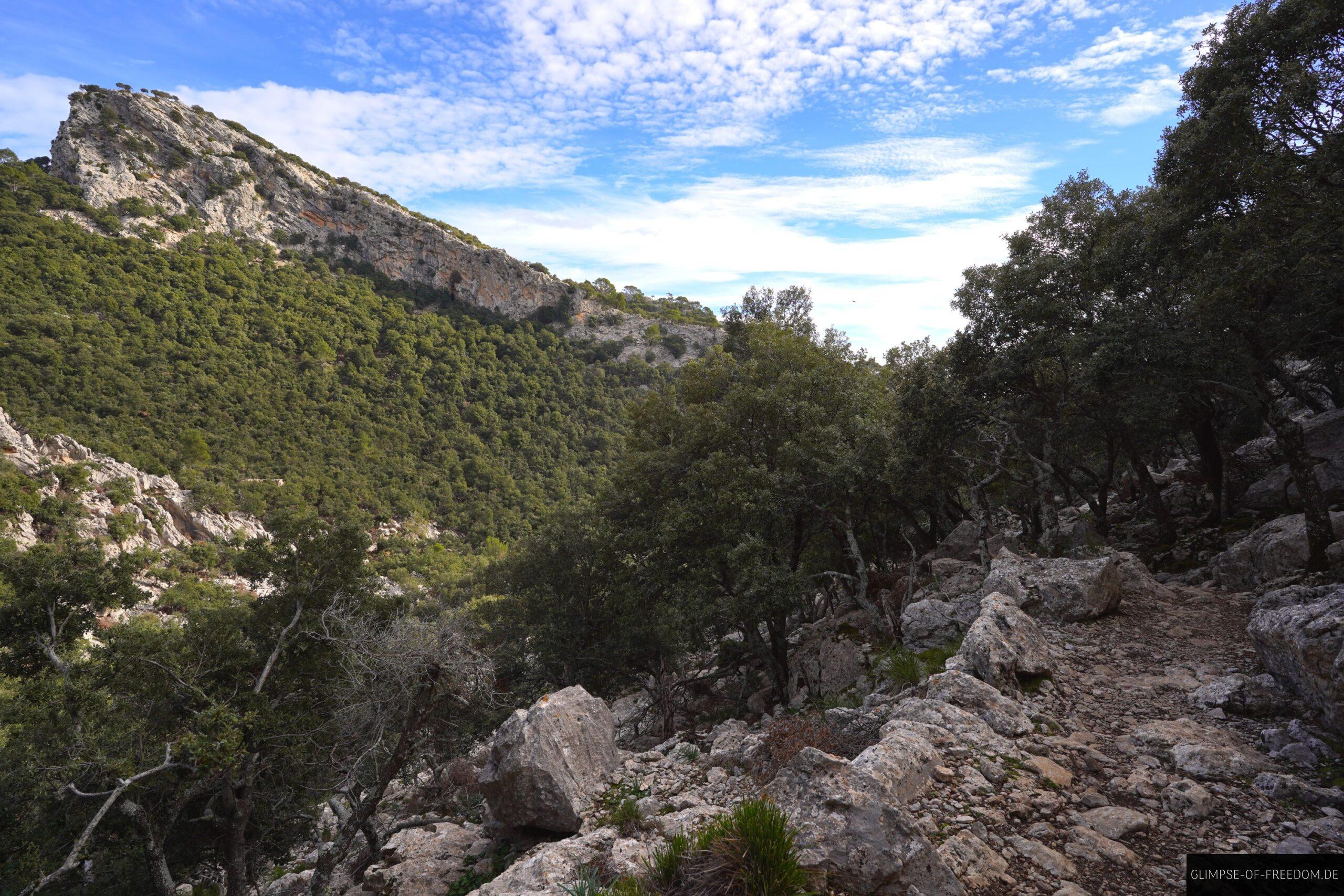 Wandern mit Bergblick scaled Wandern mit Bergblick
