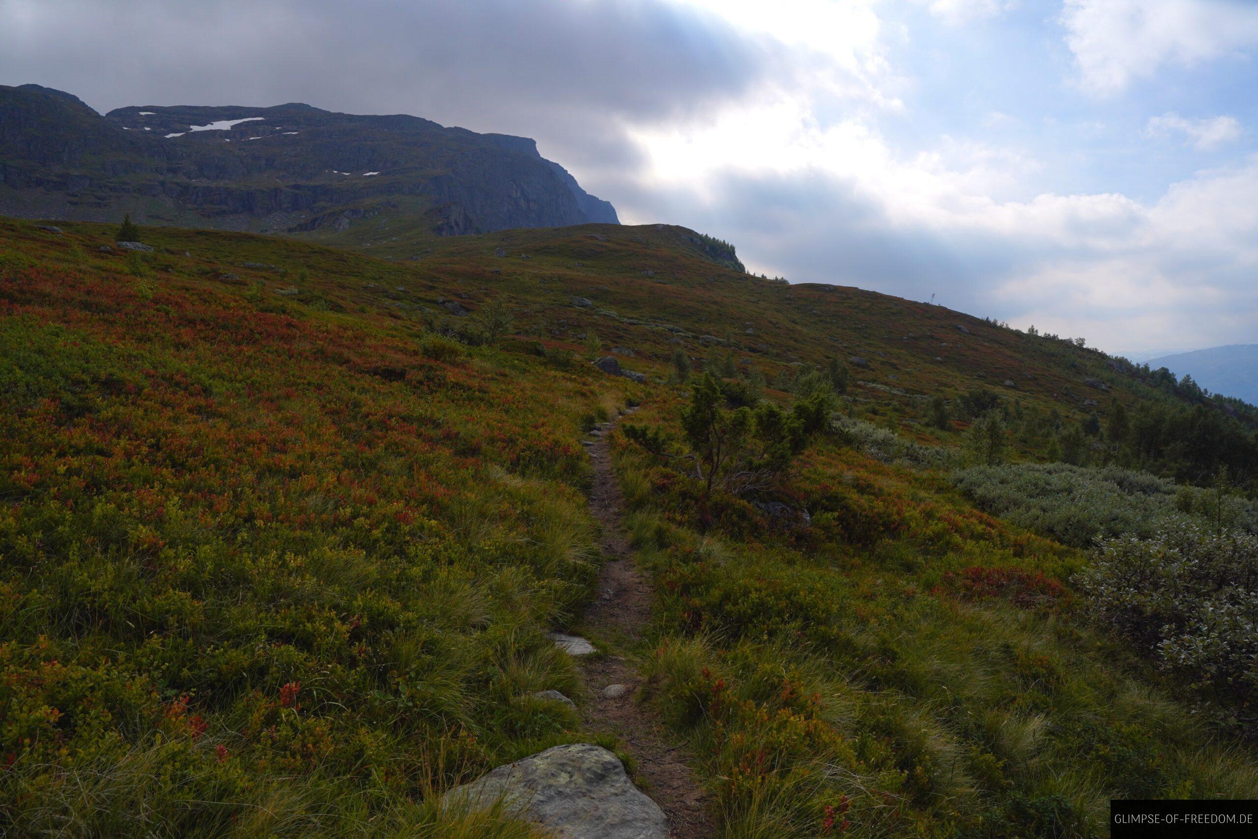 Wandern mit Rossnos voraus scaled Wandern mit Rossnos voraus