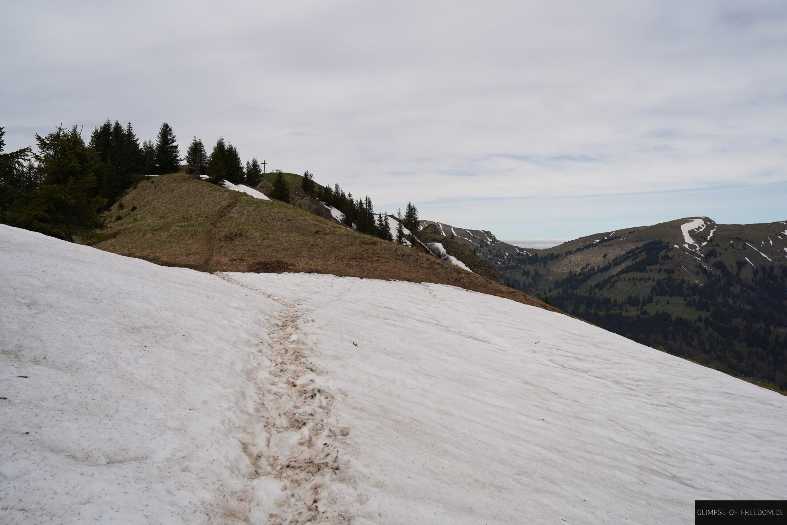 Wandern mit Siplinger Kopf voraus scaled Wandern mit Siplinger Kopf voraus
