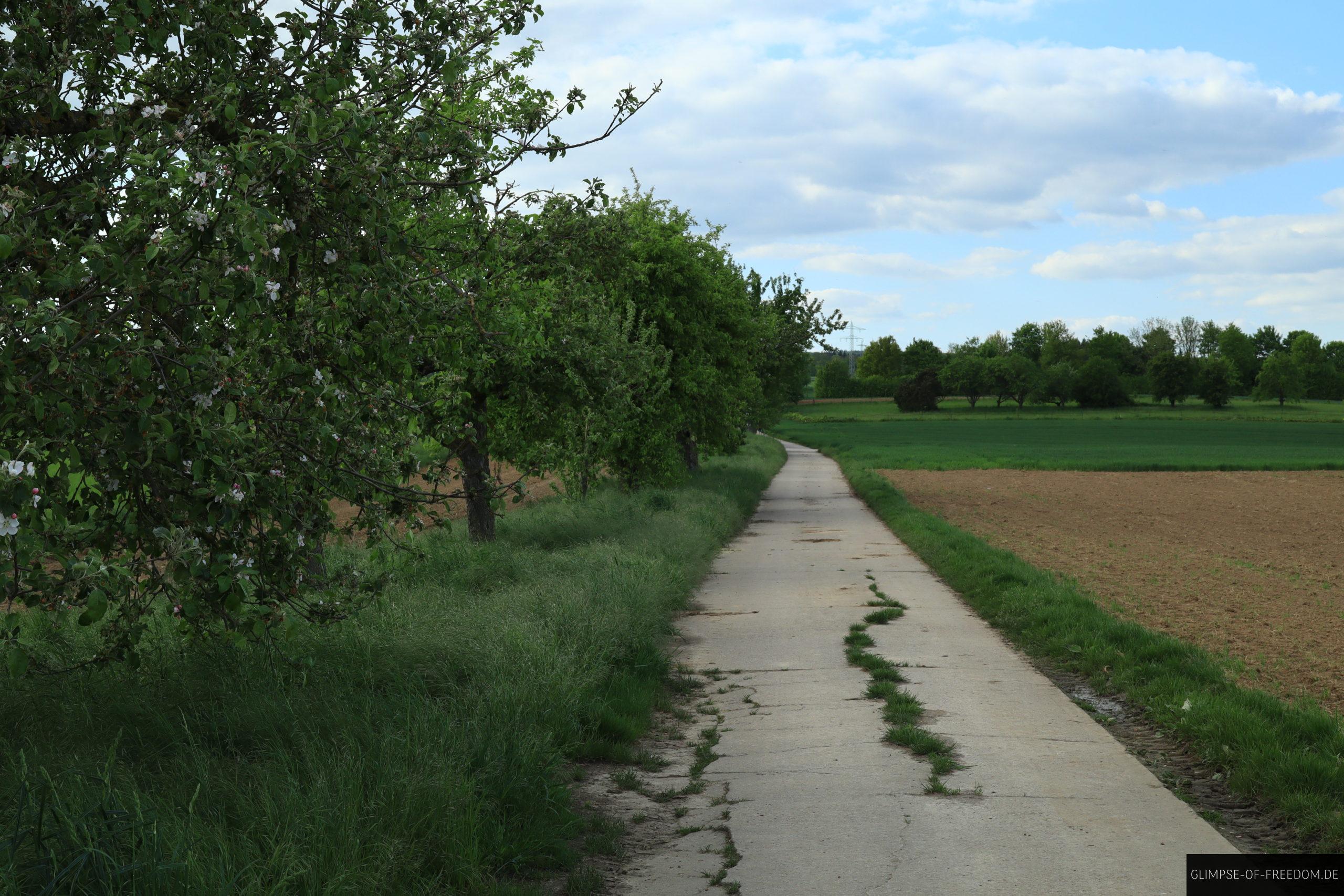 Wanderung am Feldrand zwischen Kraichgau und Odenwald scaled Wanderung am Feldrand zwischen Kraichgau und Odenwald
