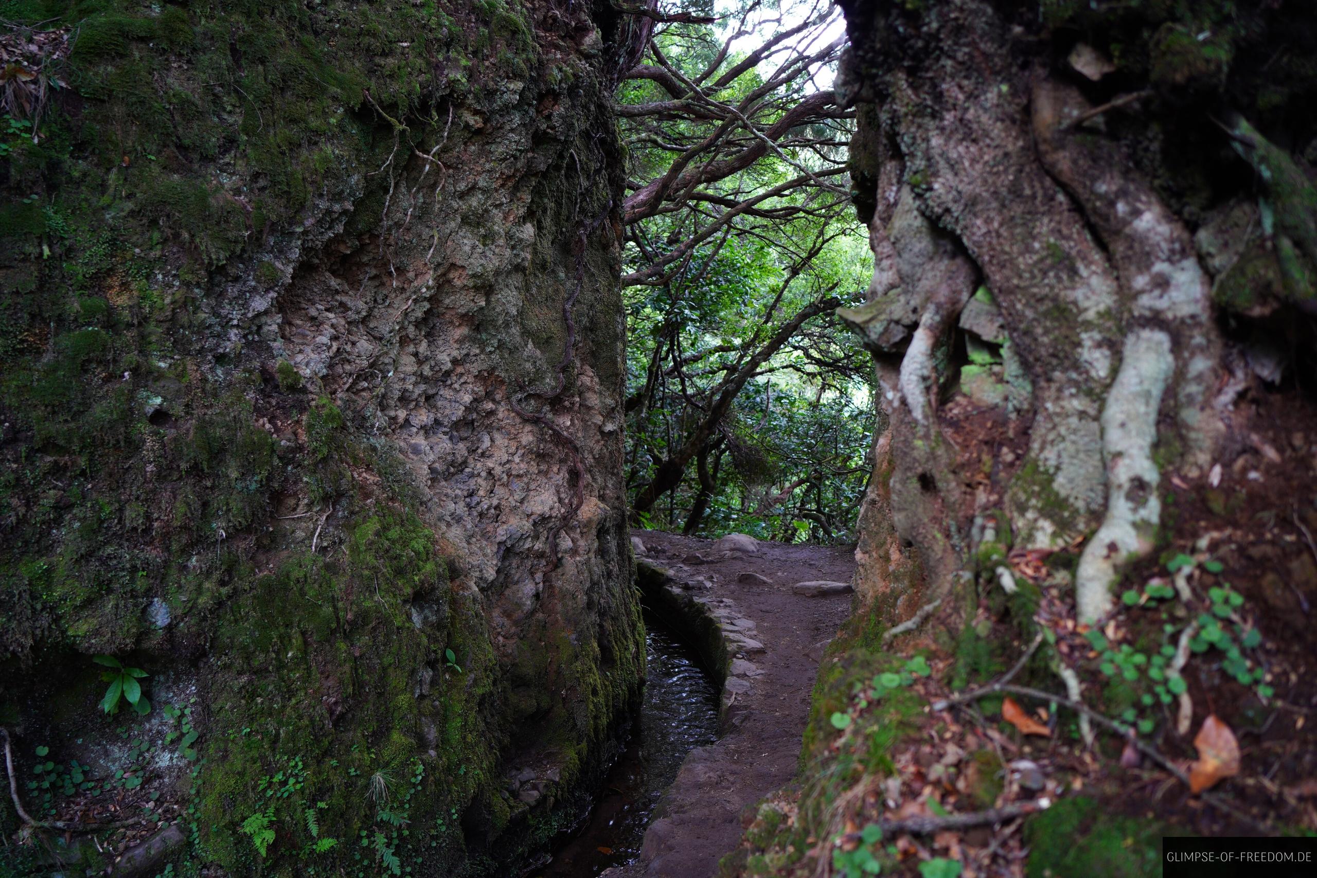 Wanderung an der Levada do Caldeirao Verde zwischen den Felsen Wanderung an der Levada do Caldeirao Verde zwischen den Felsen