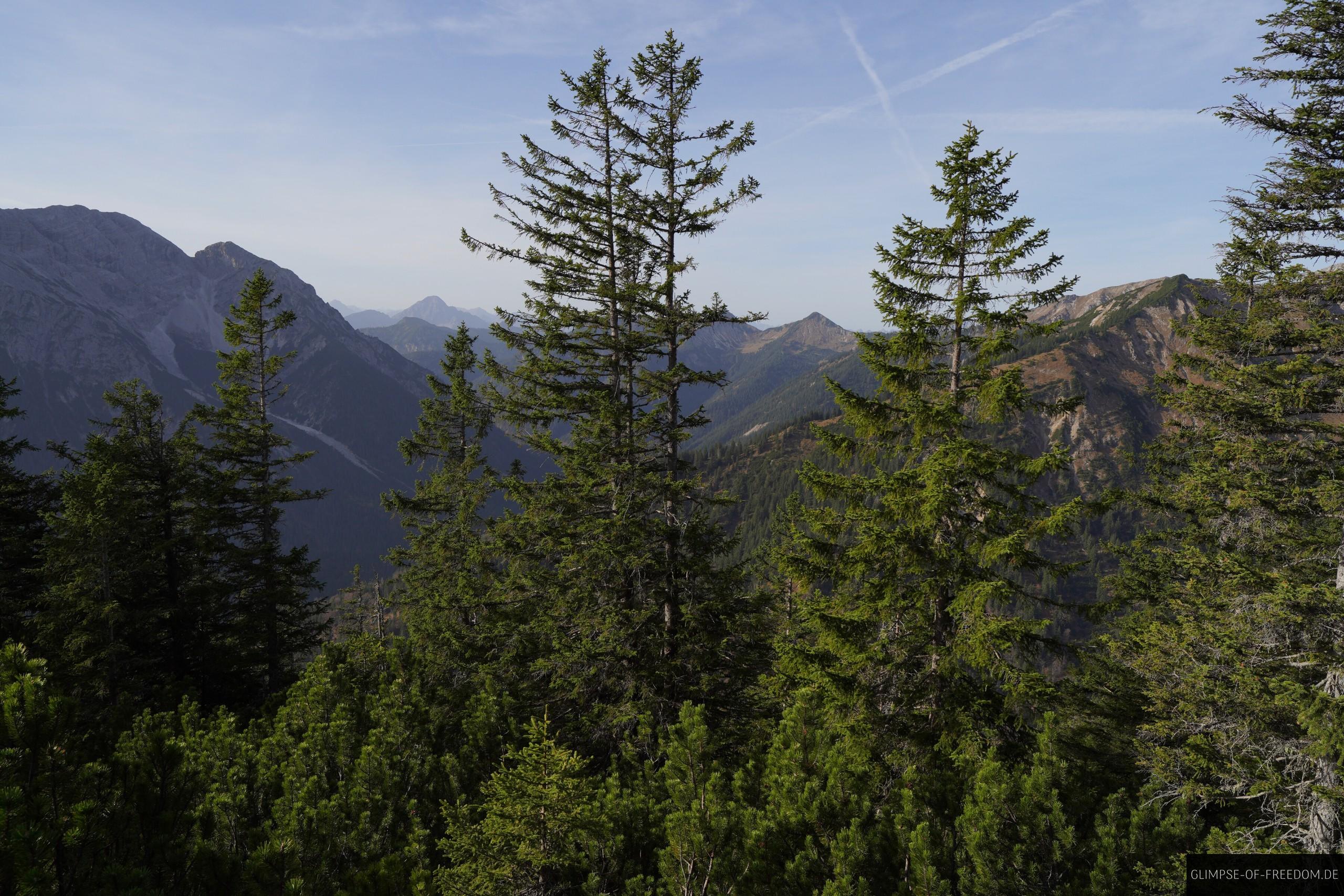 Wanderung durch Wald am Berg Wanderung durch Wald am Berg
