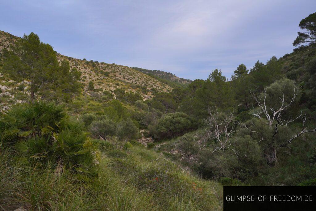 Wanderung durch das Wilde Mallorca