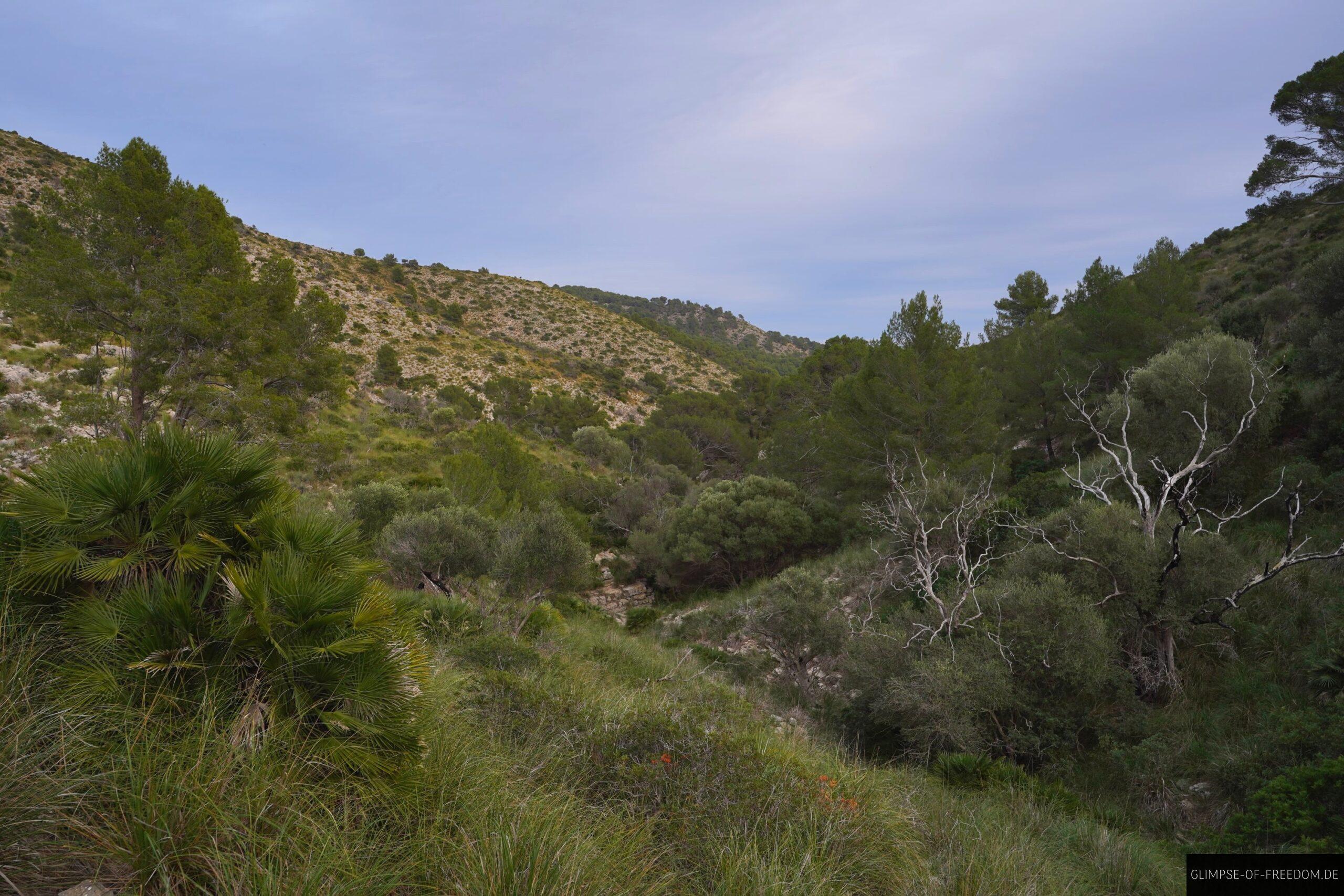 Wanderung durch das Wilde Mallorca scaled Wanderung durch das Wilde Mallorca