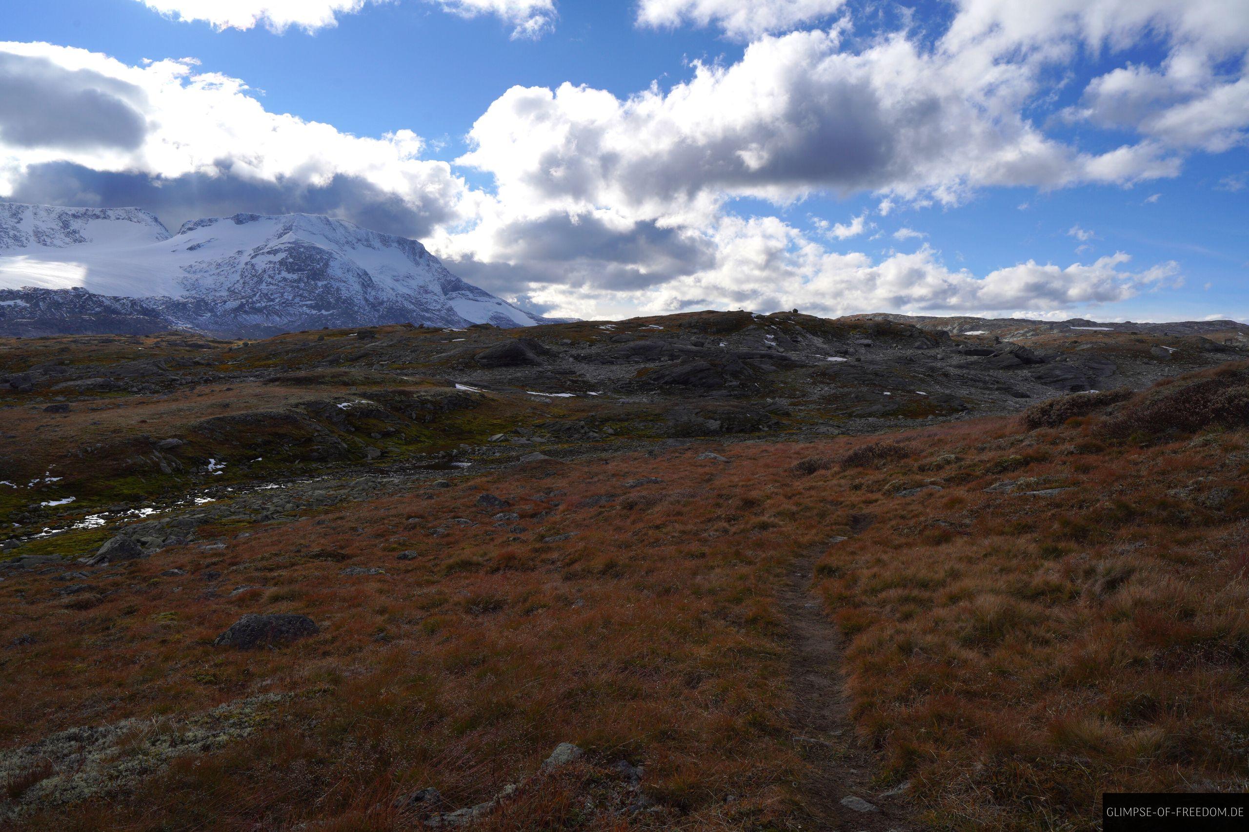 Wanderung durch die norwegische Natur am Mefjellet Wanderung durch die norwegische Natur am Mefjellet