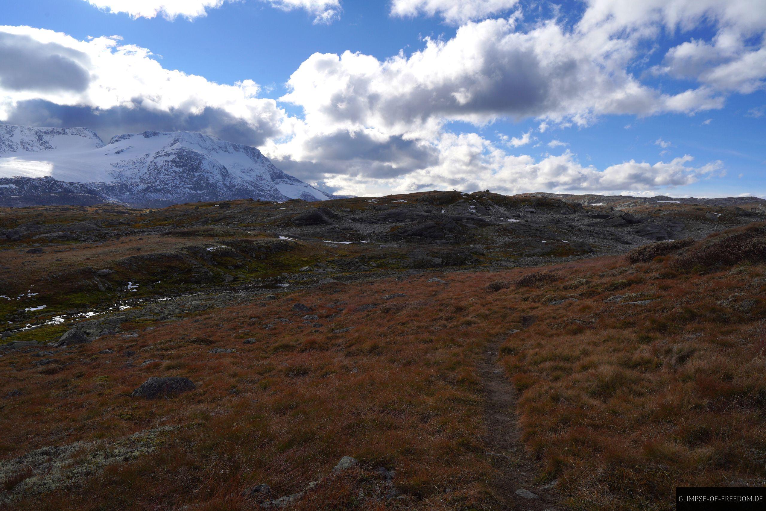 Wanderung durch die norwegische Natur am Mefjellet