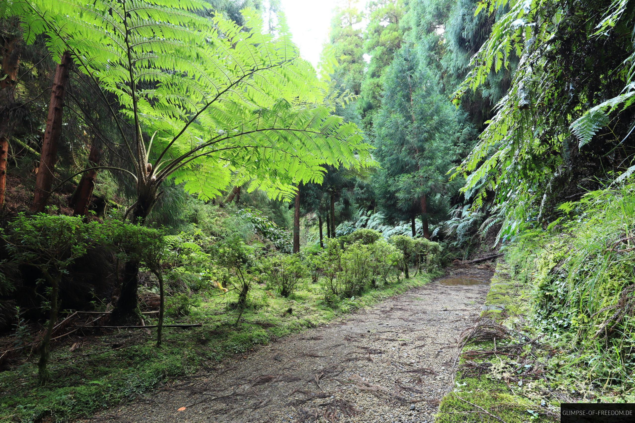 Wanderung durch spannende Vegetation scaled Wanderung durch spannende Vegetation