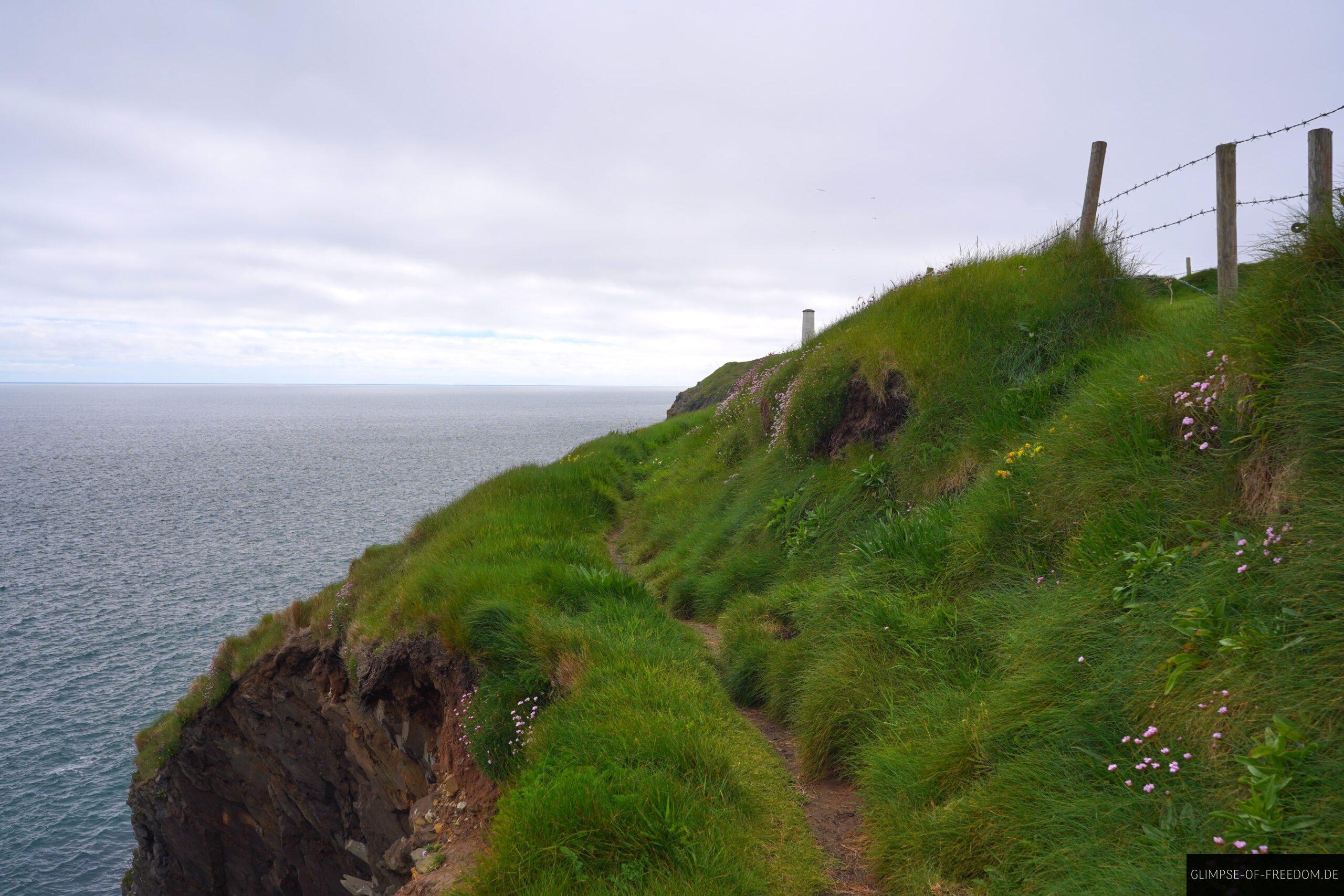 Wanderung entlang der Steilklippen Irlands scaled Wanderung entlang der Steilklippen Irlands