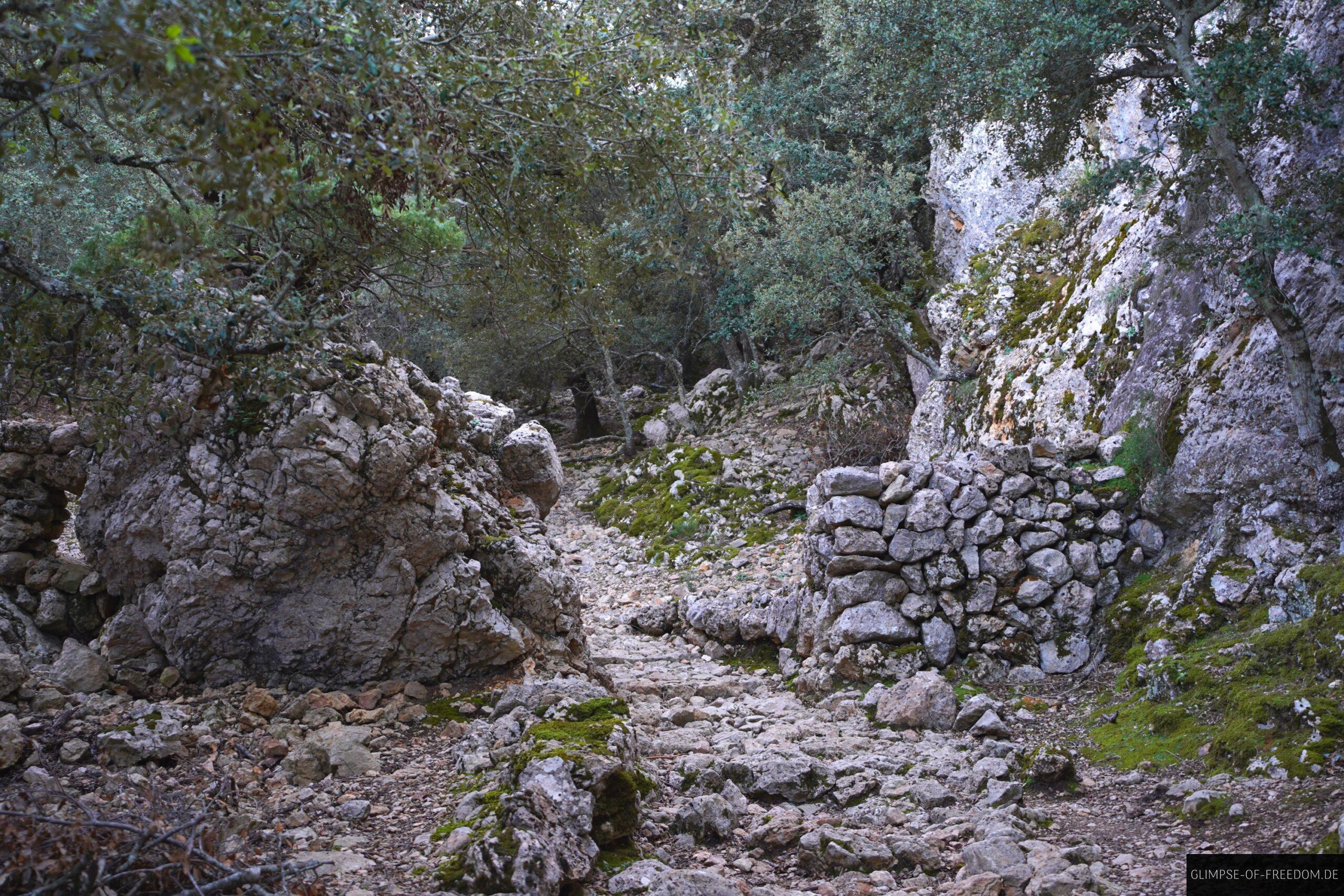 Wanderung vorbei an altem Gemaeuer scaled Wanderung vorbei an altem Gemäuer