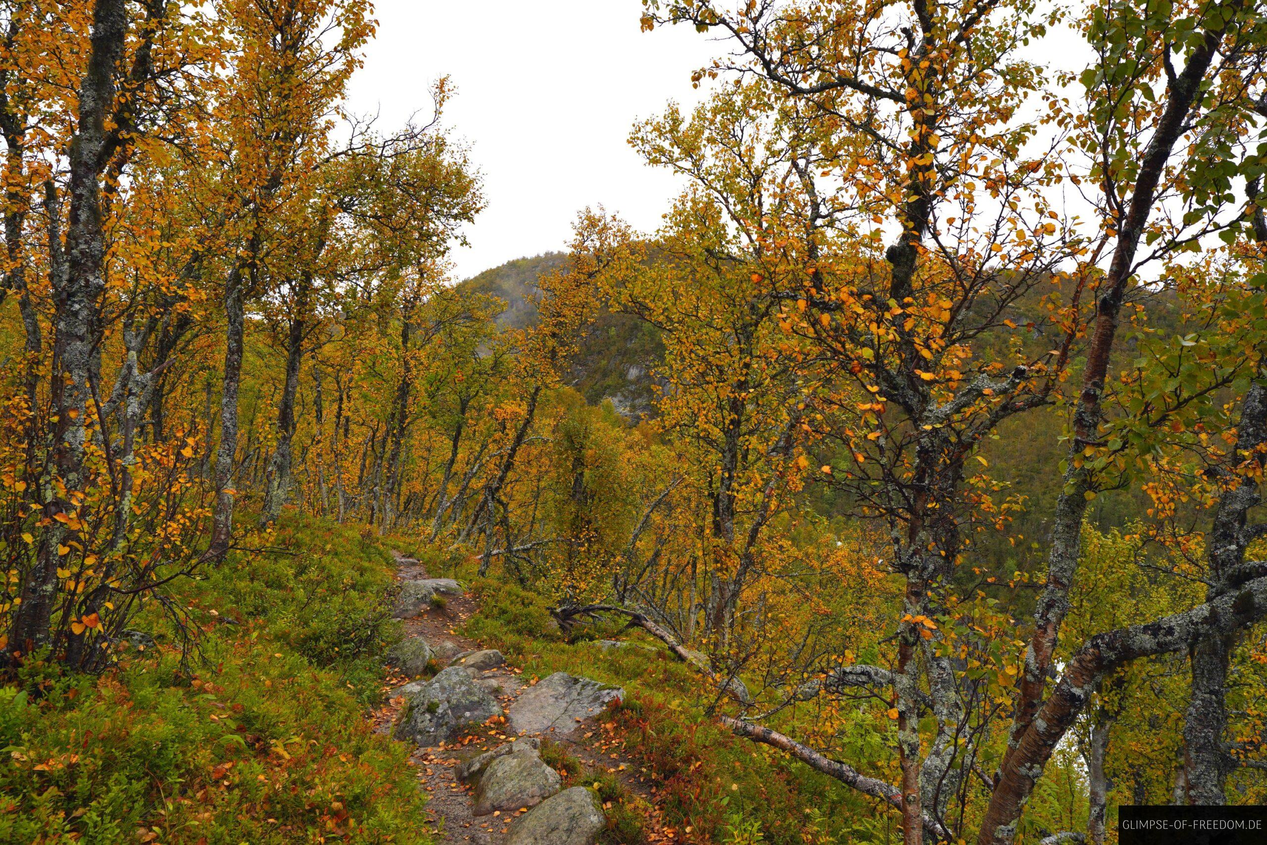 Wanderung zum Hivjufossen in Norwegen scaled Wanderung zum Hivjufossen in Norwegen