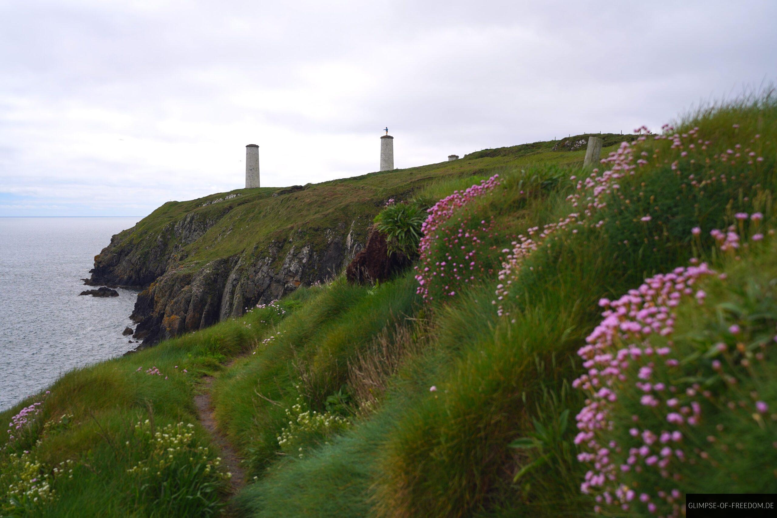 Wanderung zwischen Blumen und Klippen scaled Wanderung zwischen Blumen und Klippen