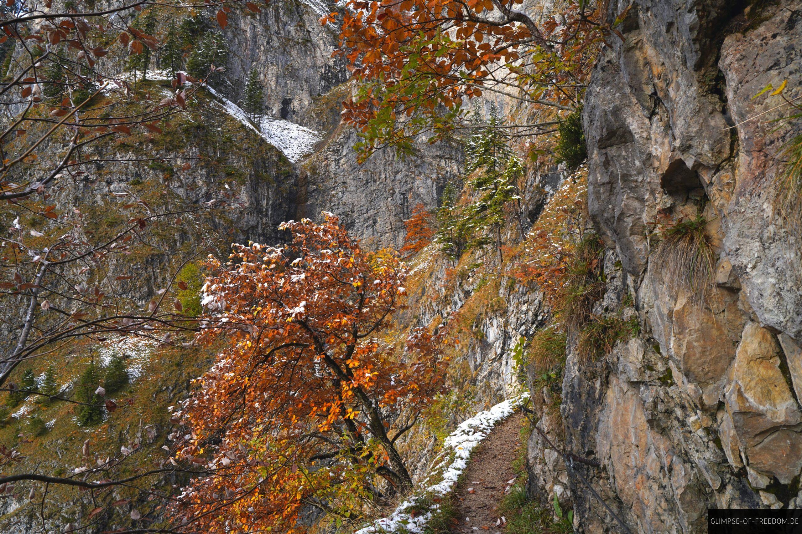 Wanderweg entlang der Felswaende im Allgaeu scaled Wanderweg entlang der Felswände im Allgäu