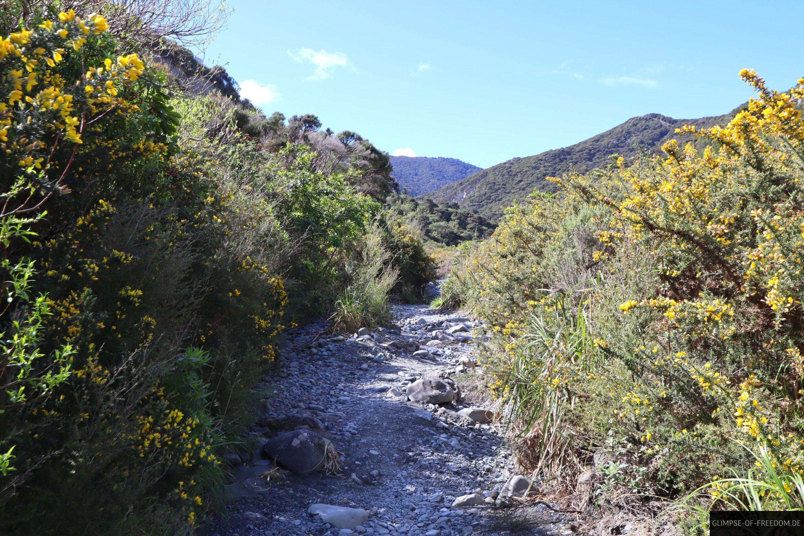 Wanderweg im Putangirua Scenic Reserve scaled Wanderweg im Putangirua Scenic Reserve