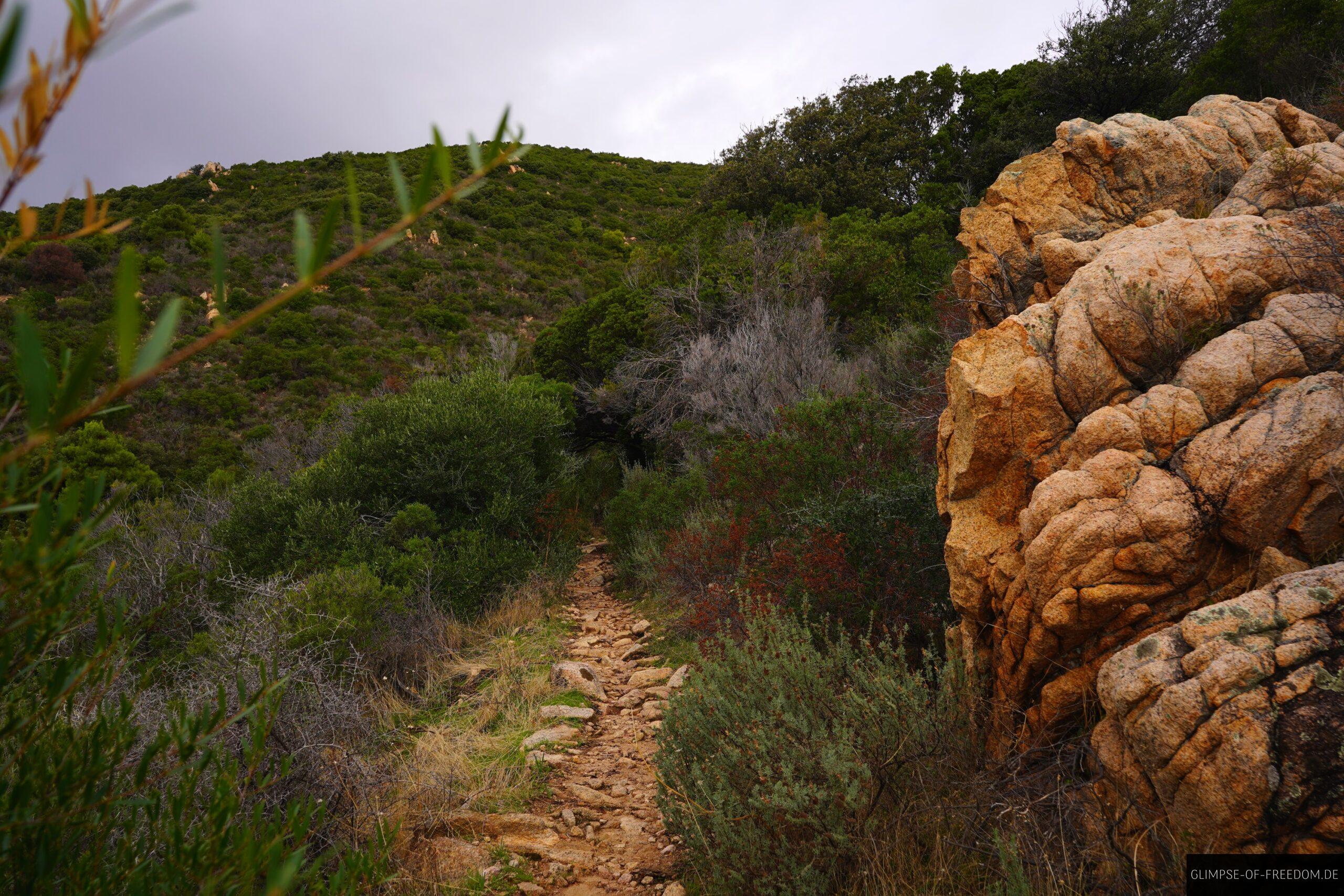 Wanderweg in die gruene Natur scaled Wanderweg in die grüne Natur