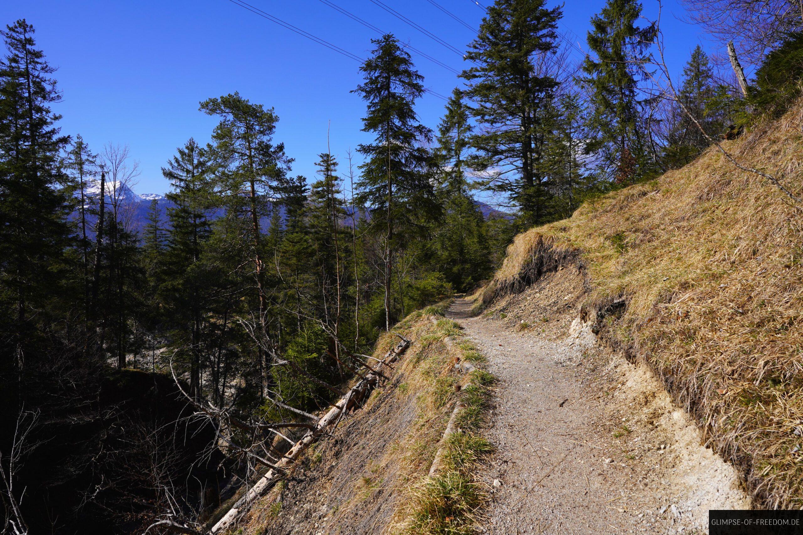 Wanderweg oberhalb der Huettlebachklamm scaled Wanderweg oberhalb der Hüttlebachklamm