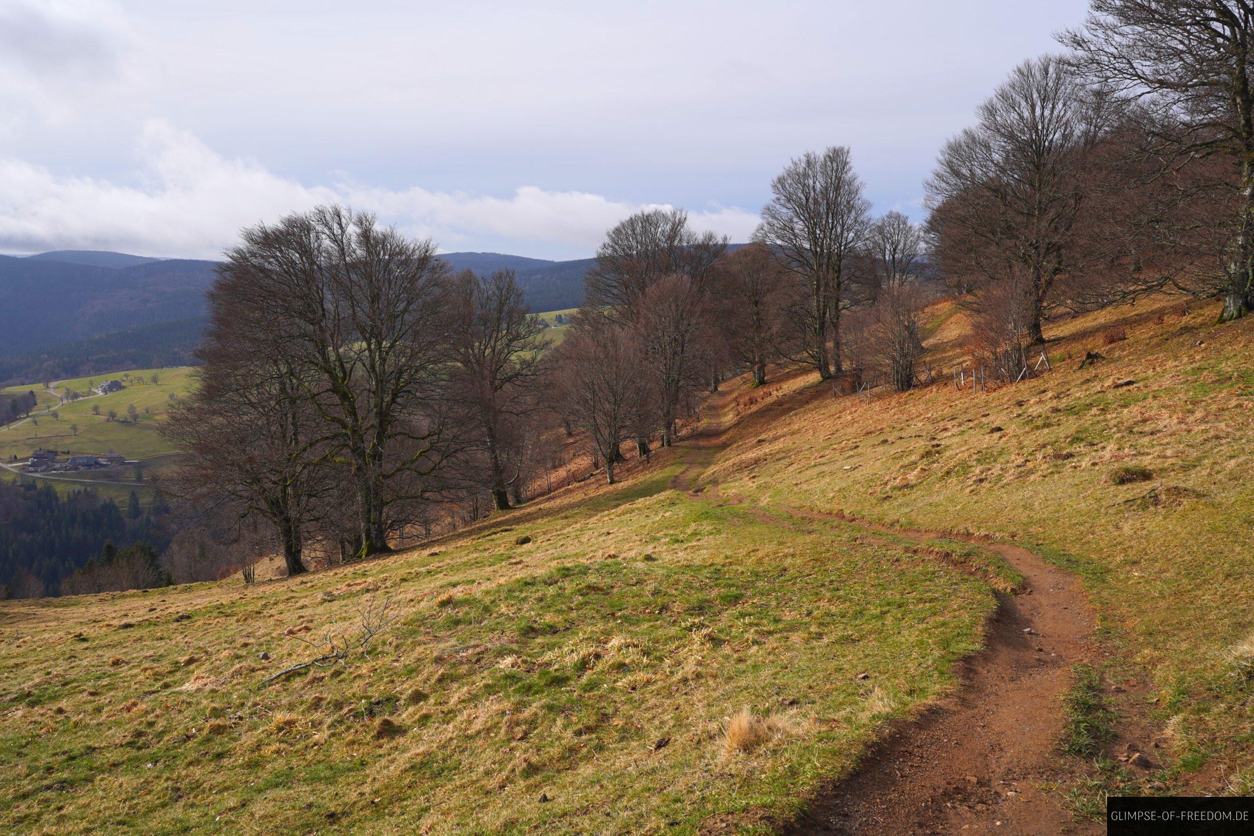 Wanderweg vom Schauinsland zum Englaenderdenkmal scaled Wanderweg vom Schauinsland zum Engländerdenkmal