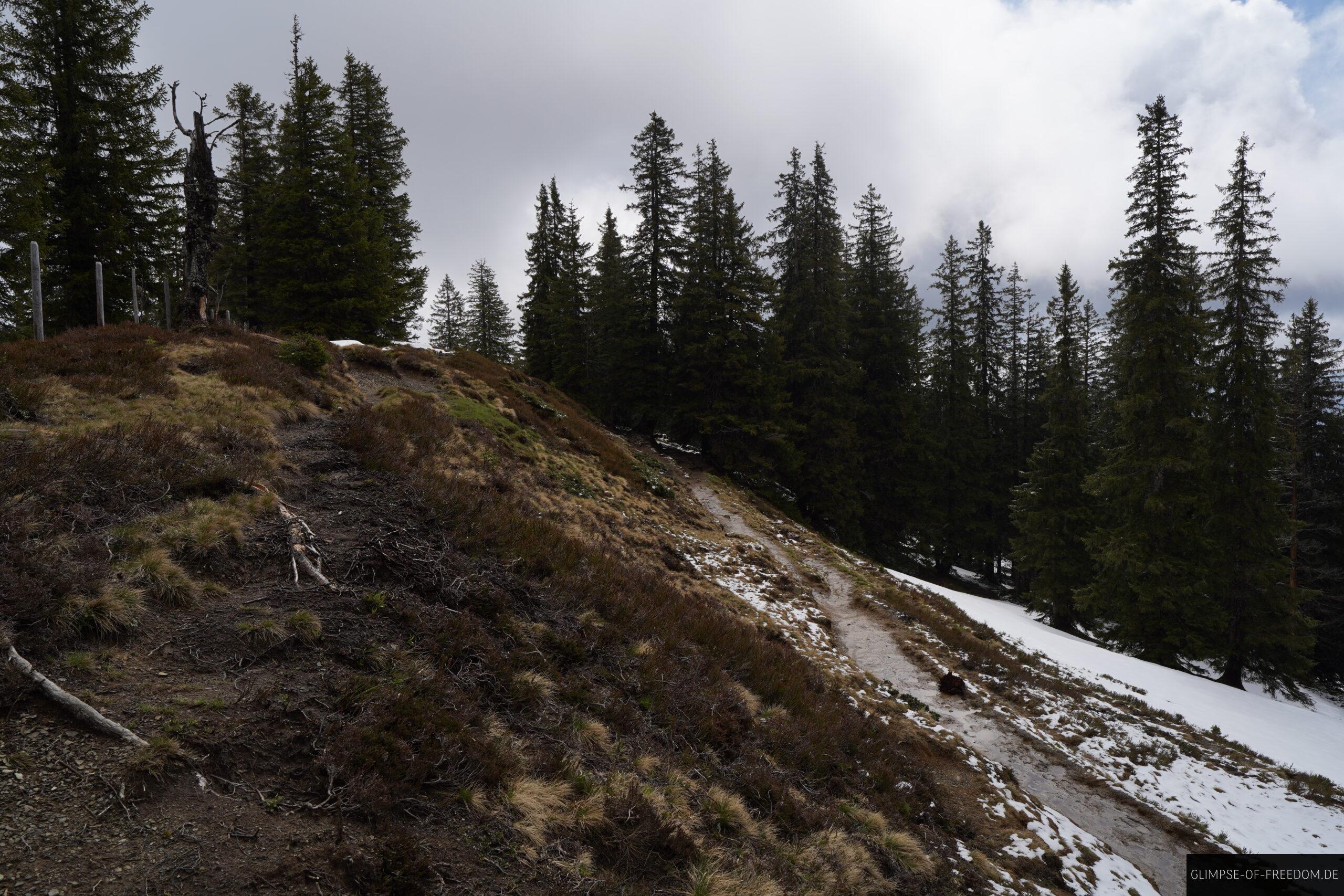 Wanderweg zum Wannenkopf scaled Wanderweg zum Wannenkopf