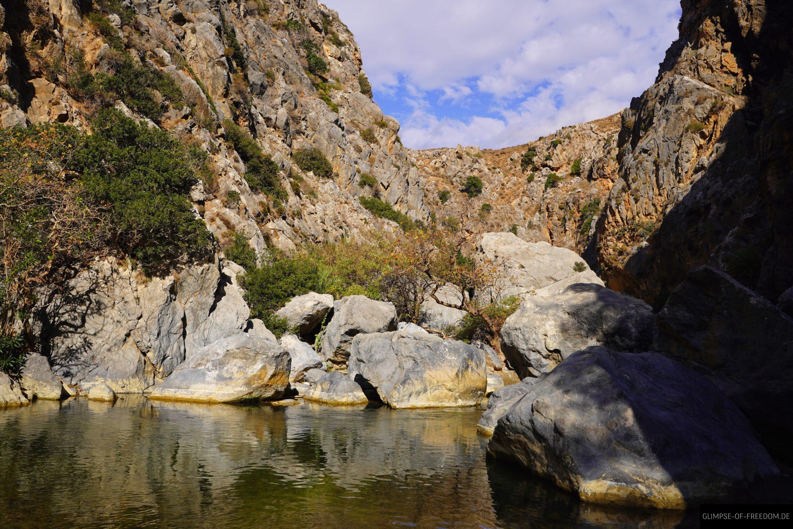 Wasserbecken am Palmenweg scaled Wasserbecken am Palmenweg