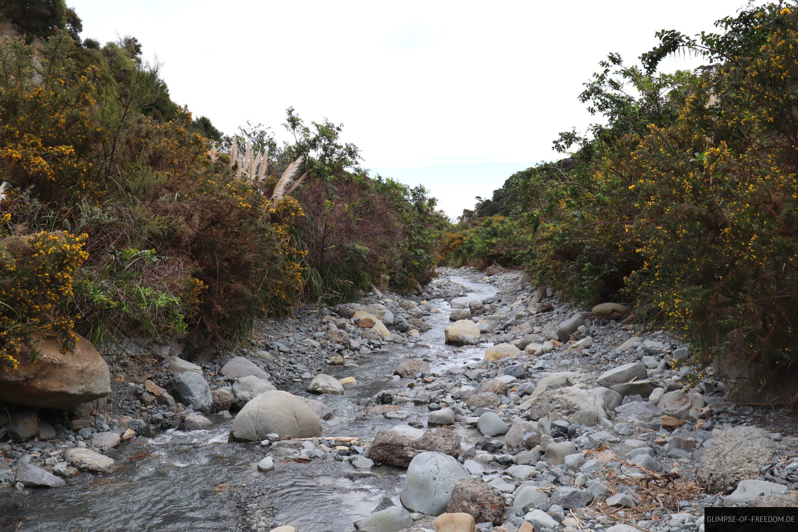 Wasserlauf im Putangirua Landschaftsgebiet scaled Wasserlauf im Putangirua Landschaftsgebiet