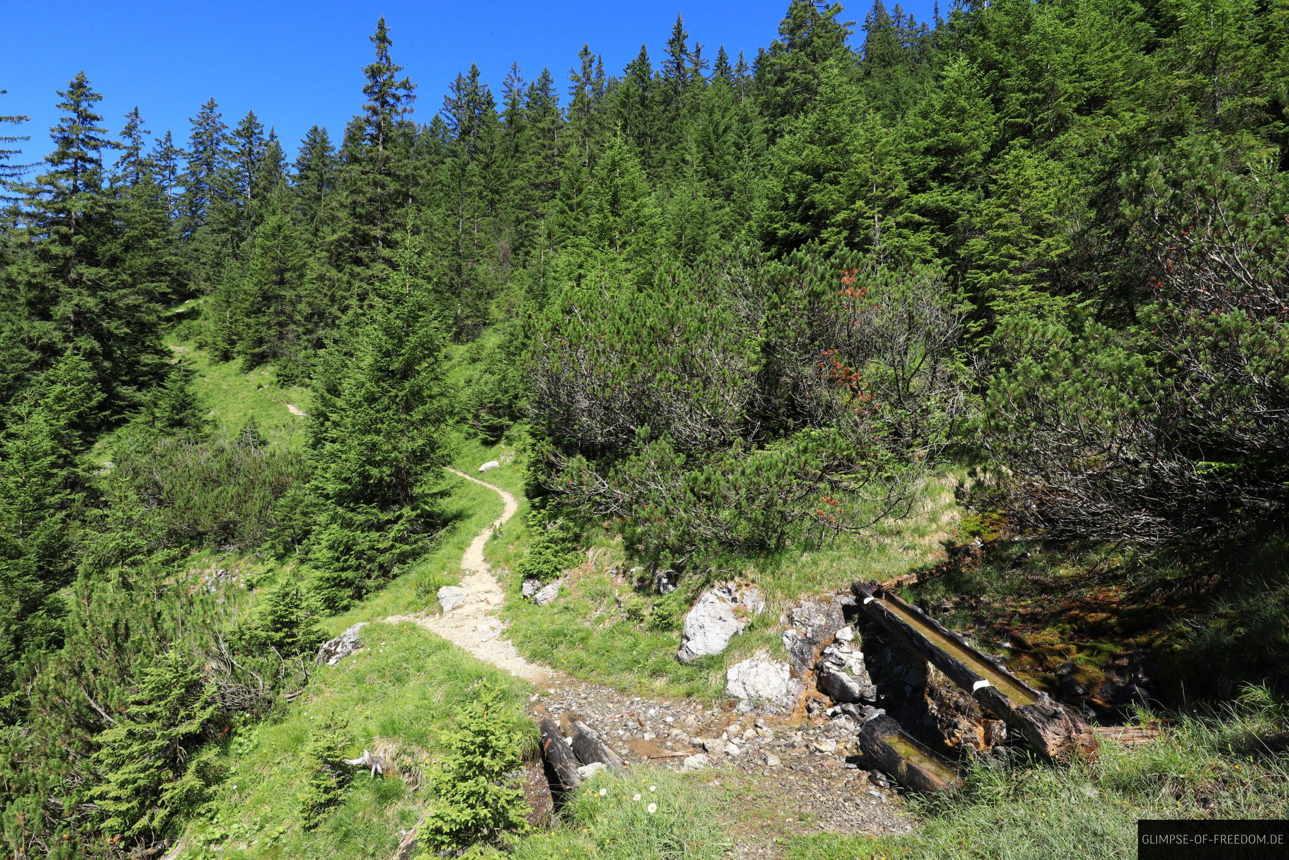 Wasserstelle Kohlbergspitze Wanderweg scaled Wasserstelle Kohlbergspitze Wanderweg