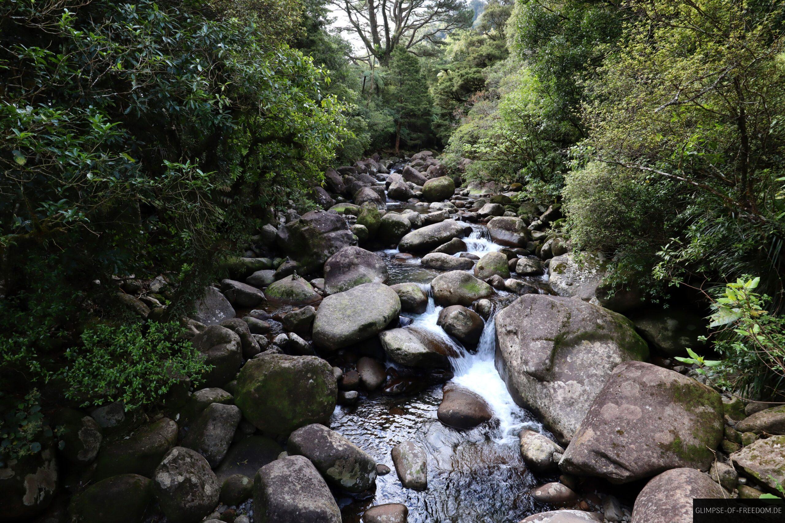 Wasslauf von den Wairere Falls scaled Wasslauf von den Wairere Falls