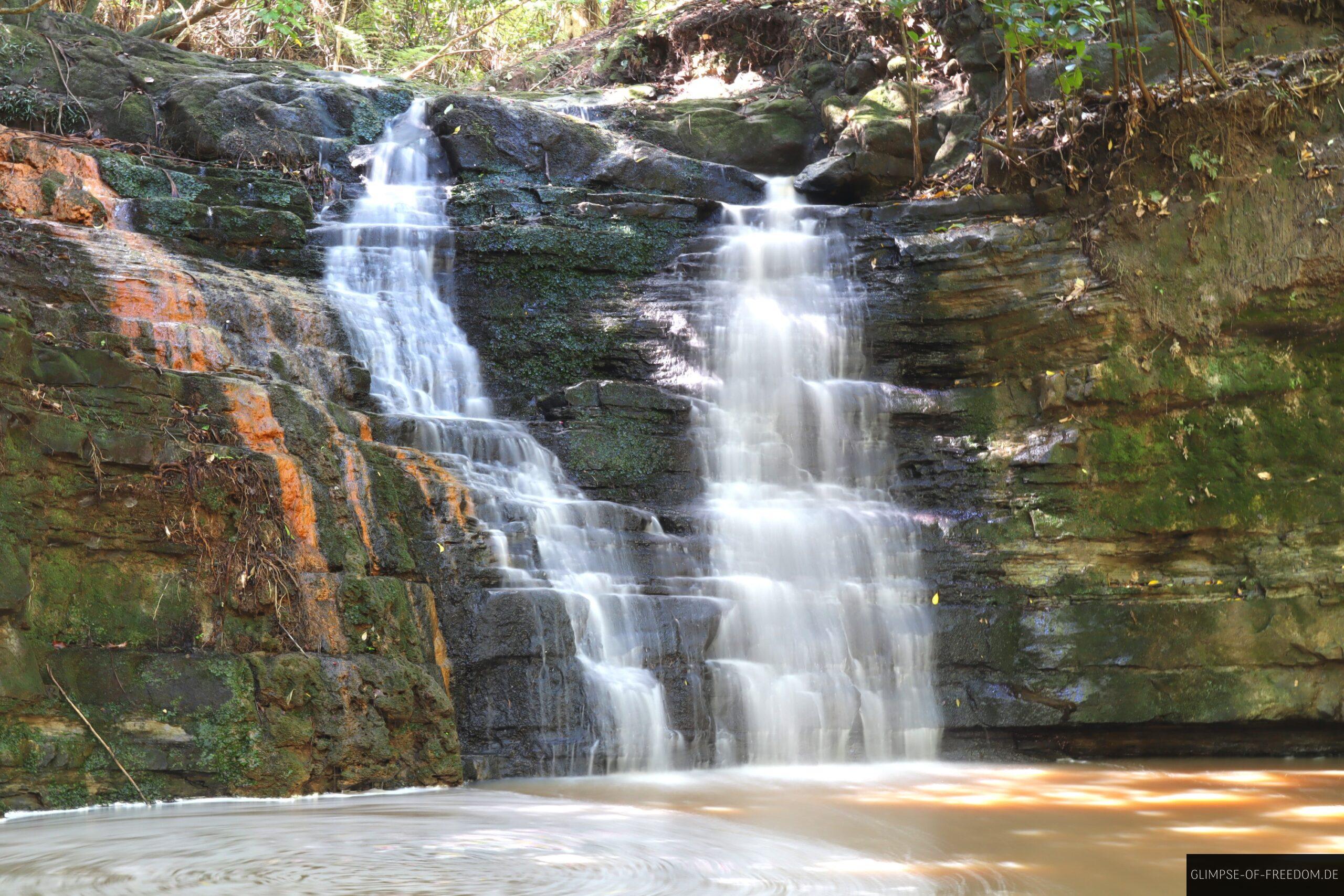 Waterfall Gully im Shakespeare Regional Park scaled Waterfall Gully im Shakespeare Regional Park