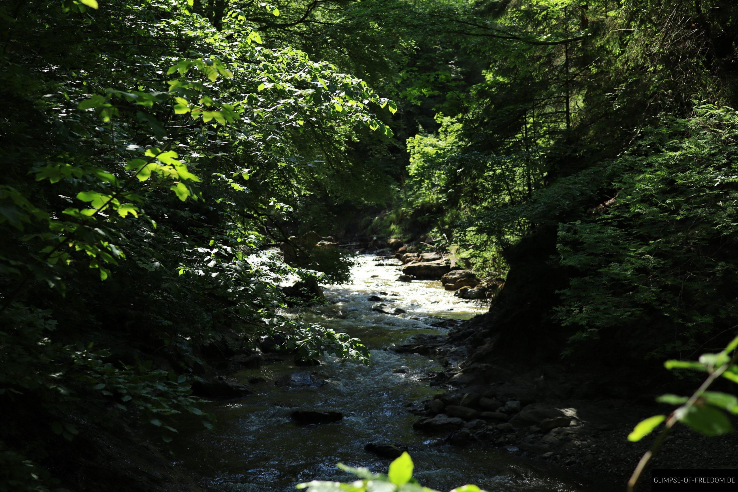 Weg Richtung Grünten durch die Statzlachklamm