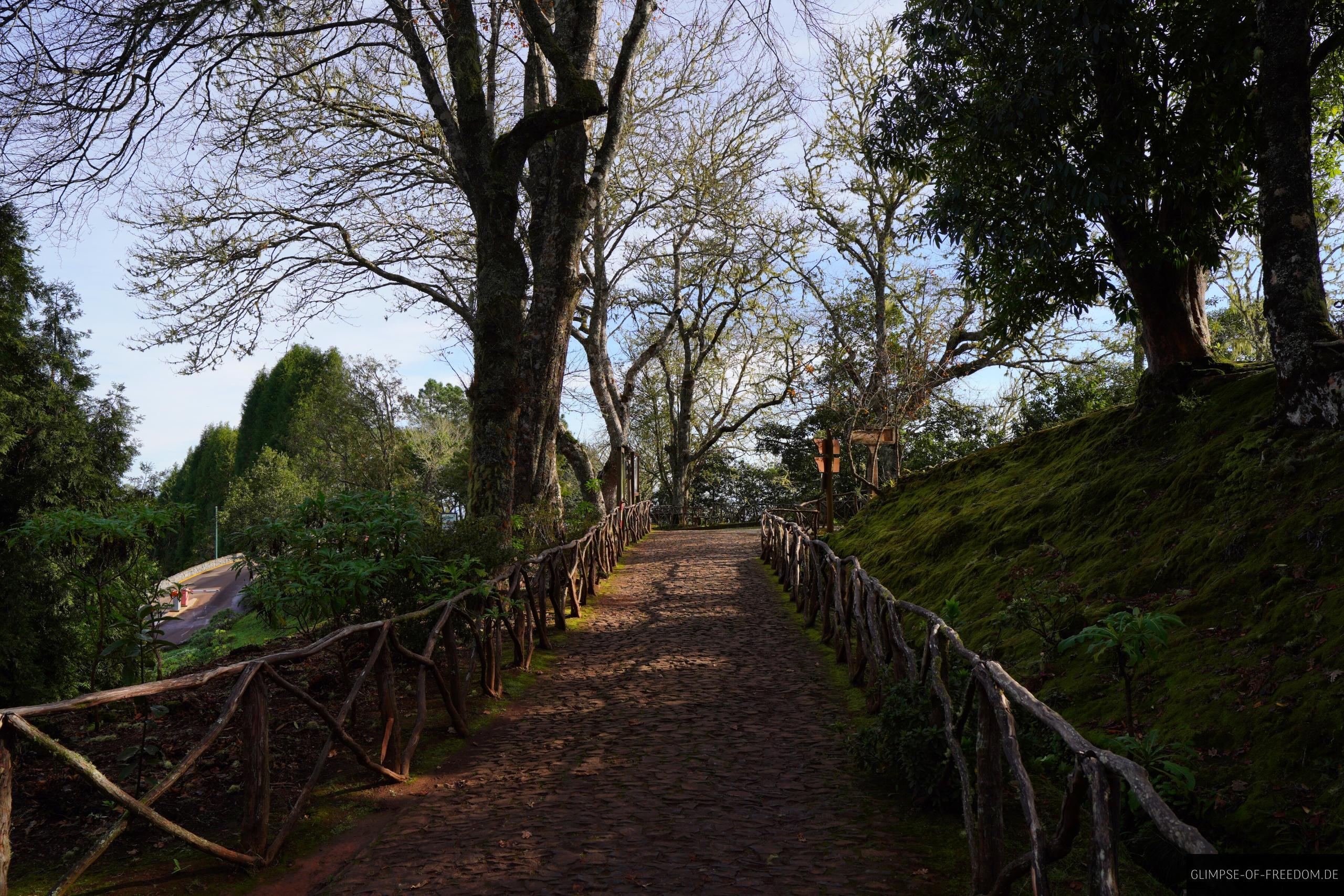 Weg am Parque Florestal das Queimadas Weg am Parque Florestal das Queimadas